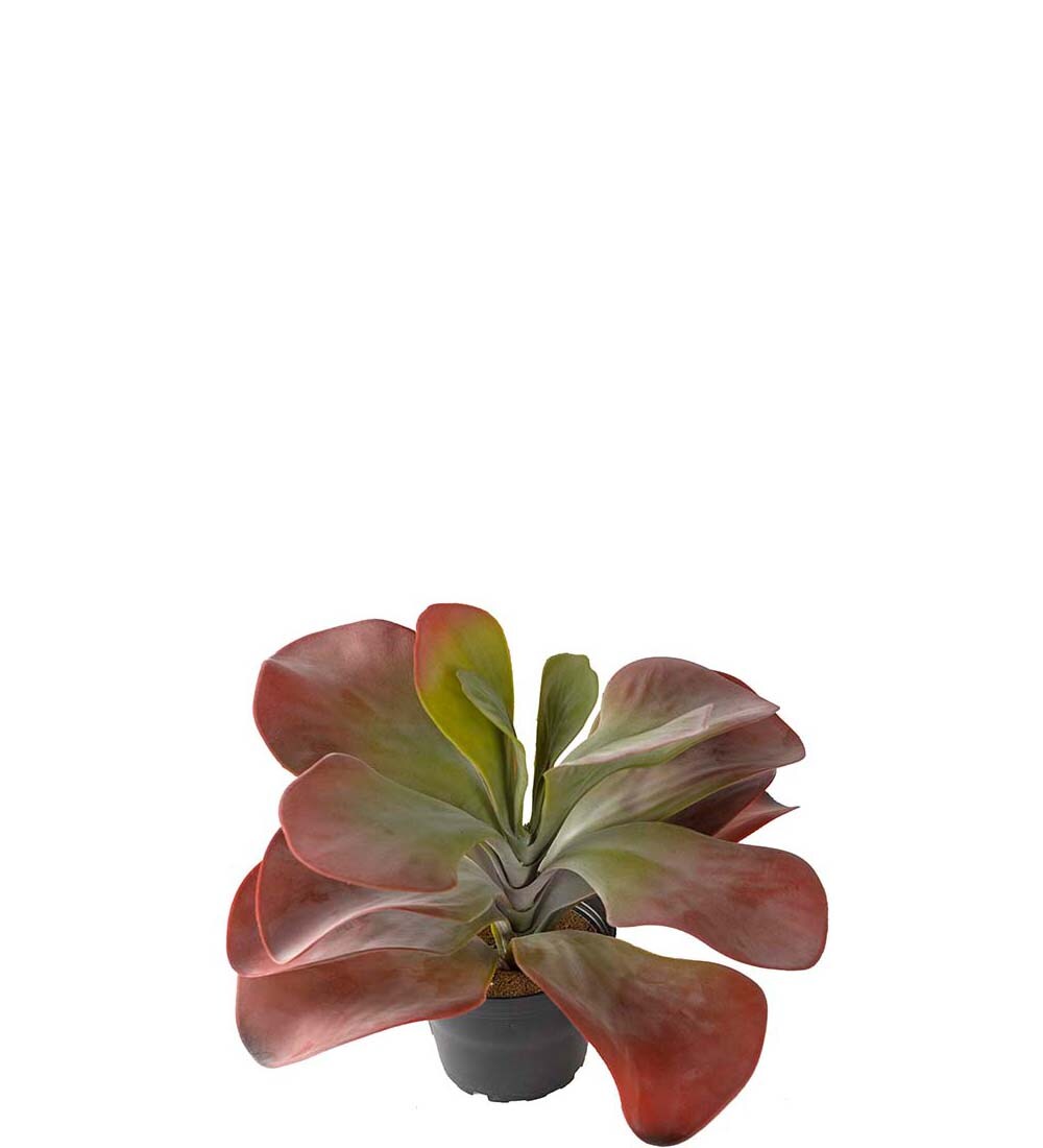 Kunstig burgunder Kalanchoe 25cm