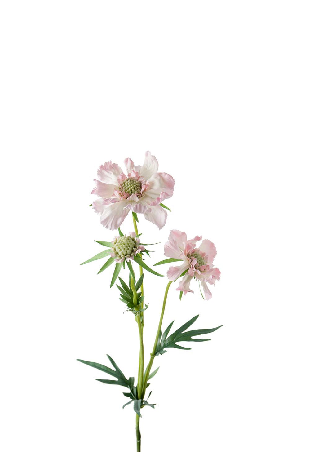 Kunstig rosa Scabiosa 70 cm