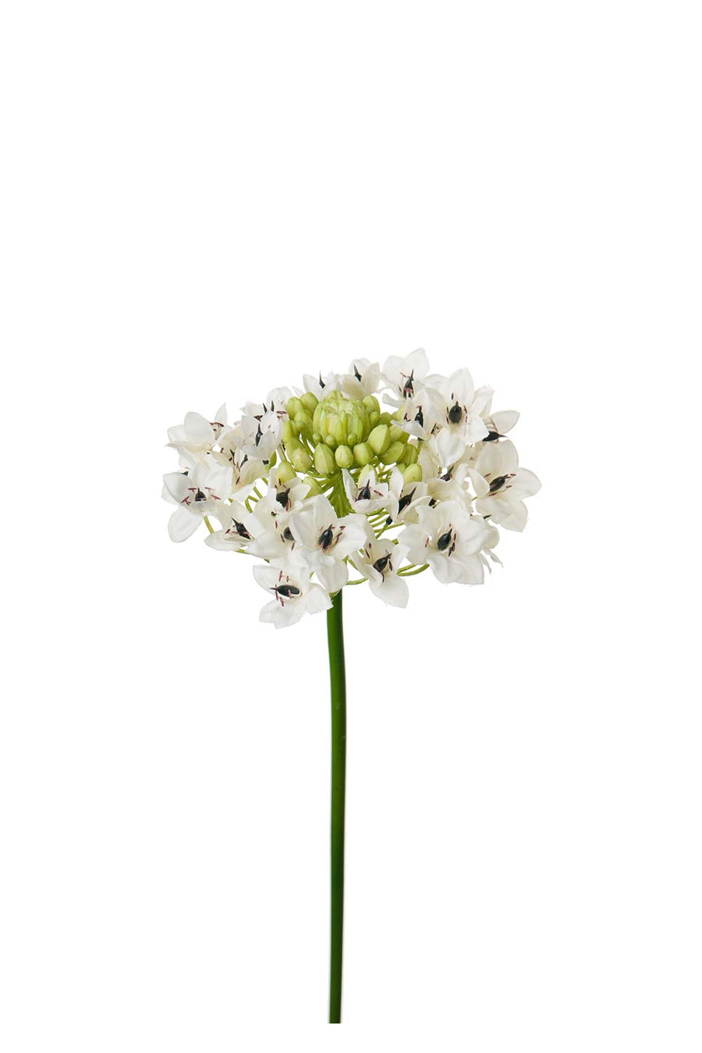 Kunstig hvit Arabicum 60 cm
