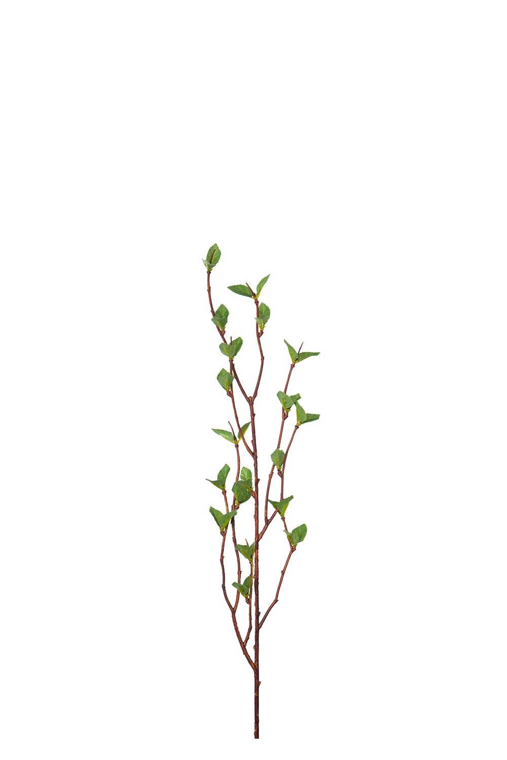 Kunstig grønn bjørk 50 cm