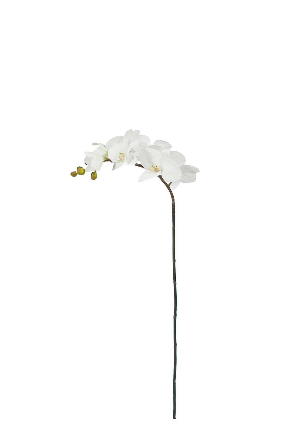 Kunstig Phalaenopsis