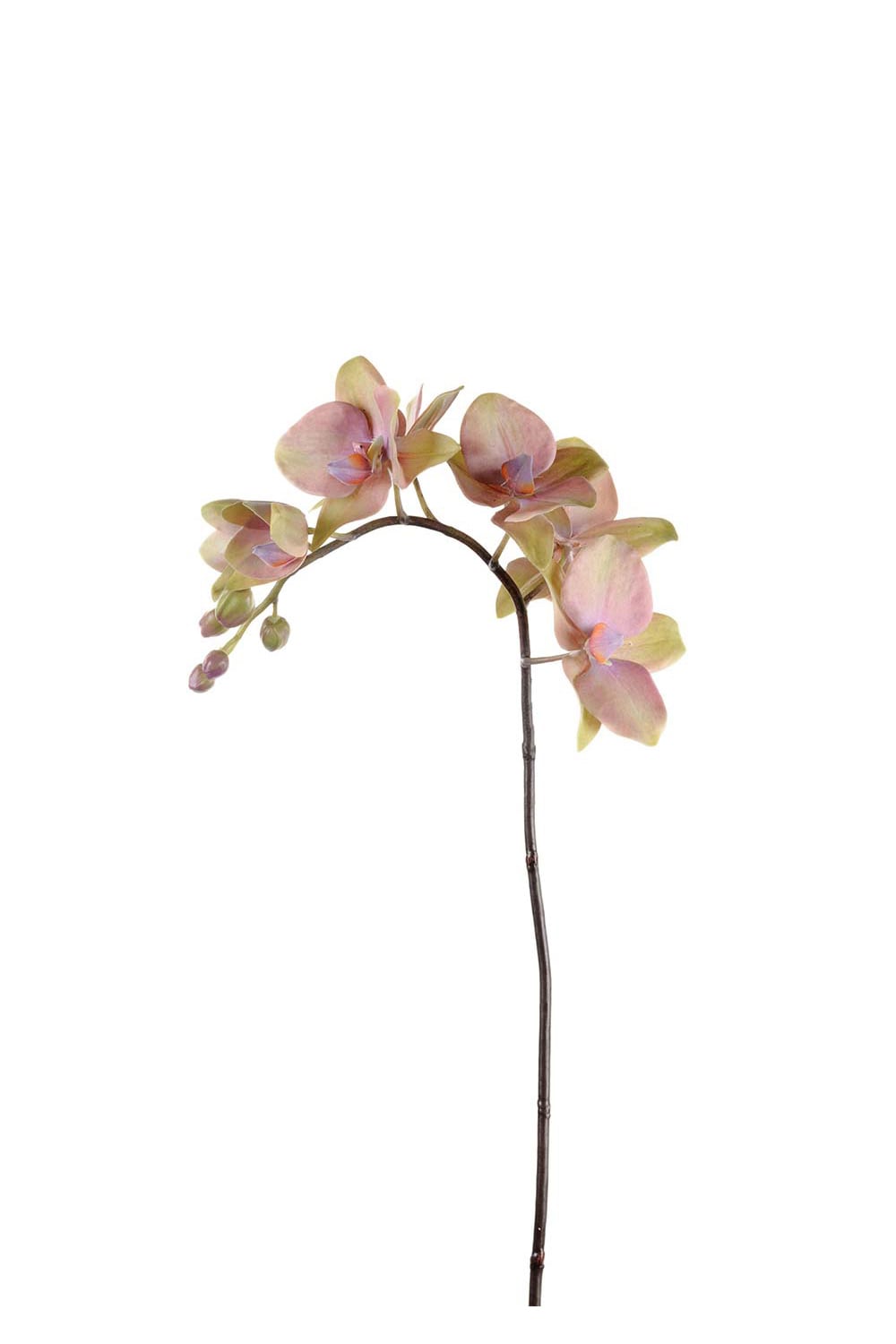 Kunstig lilla Phalaenopsis 60 cm