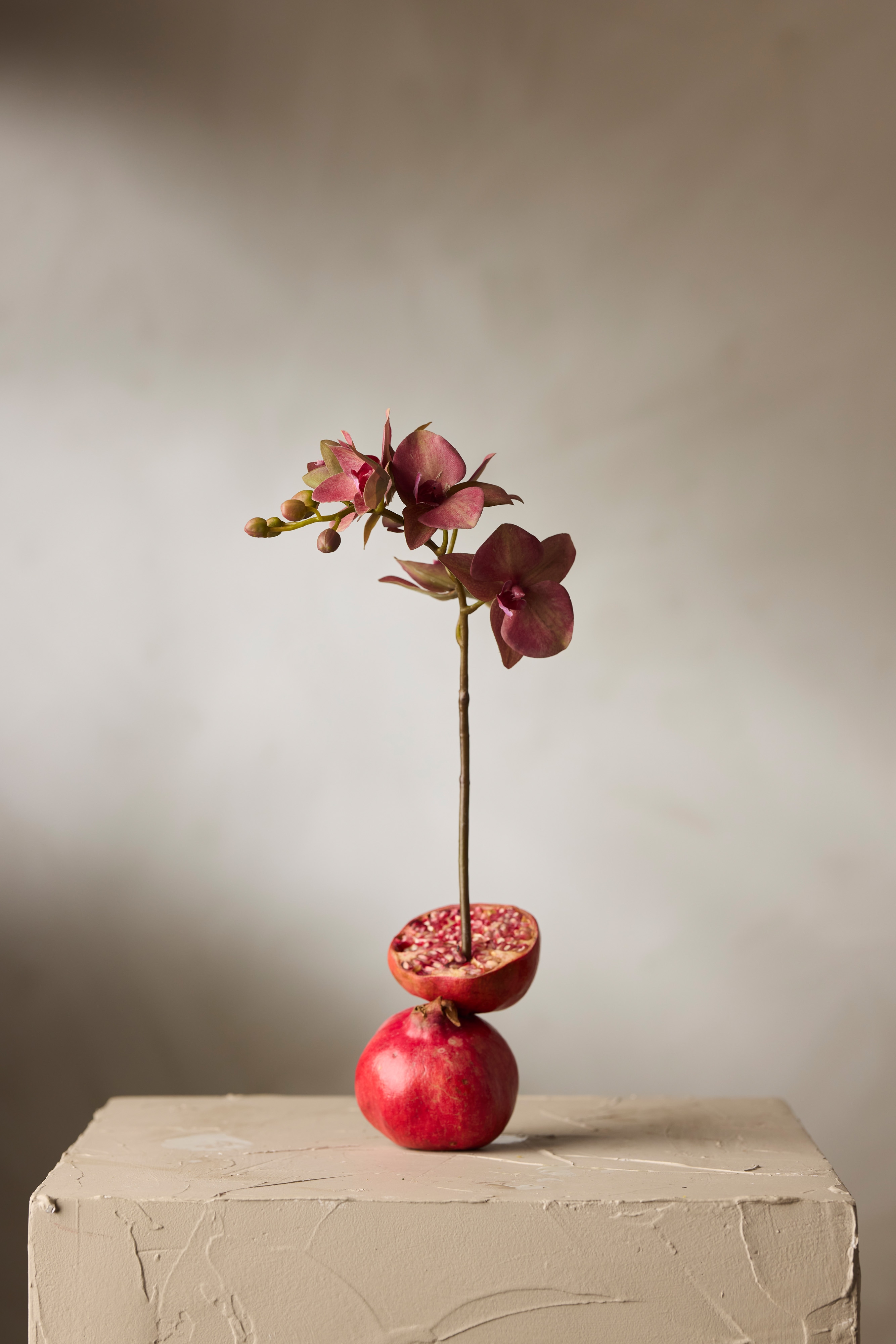Kunstig rød Phalaenopsis 60 cm
