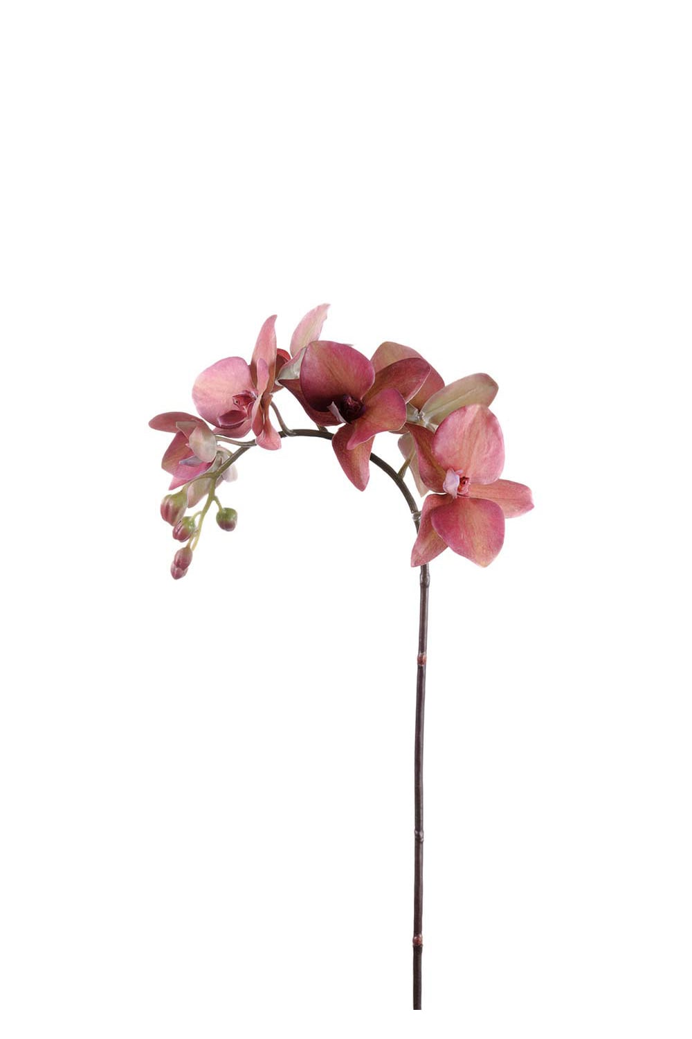 Kunstig rød Phalaenopsis 60 cm