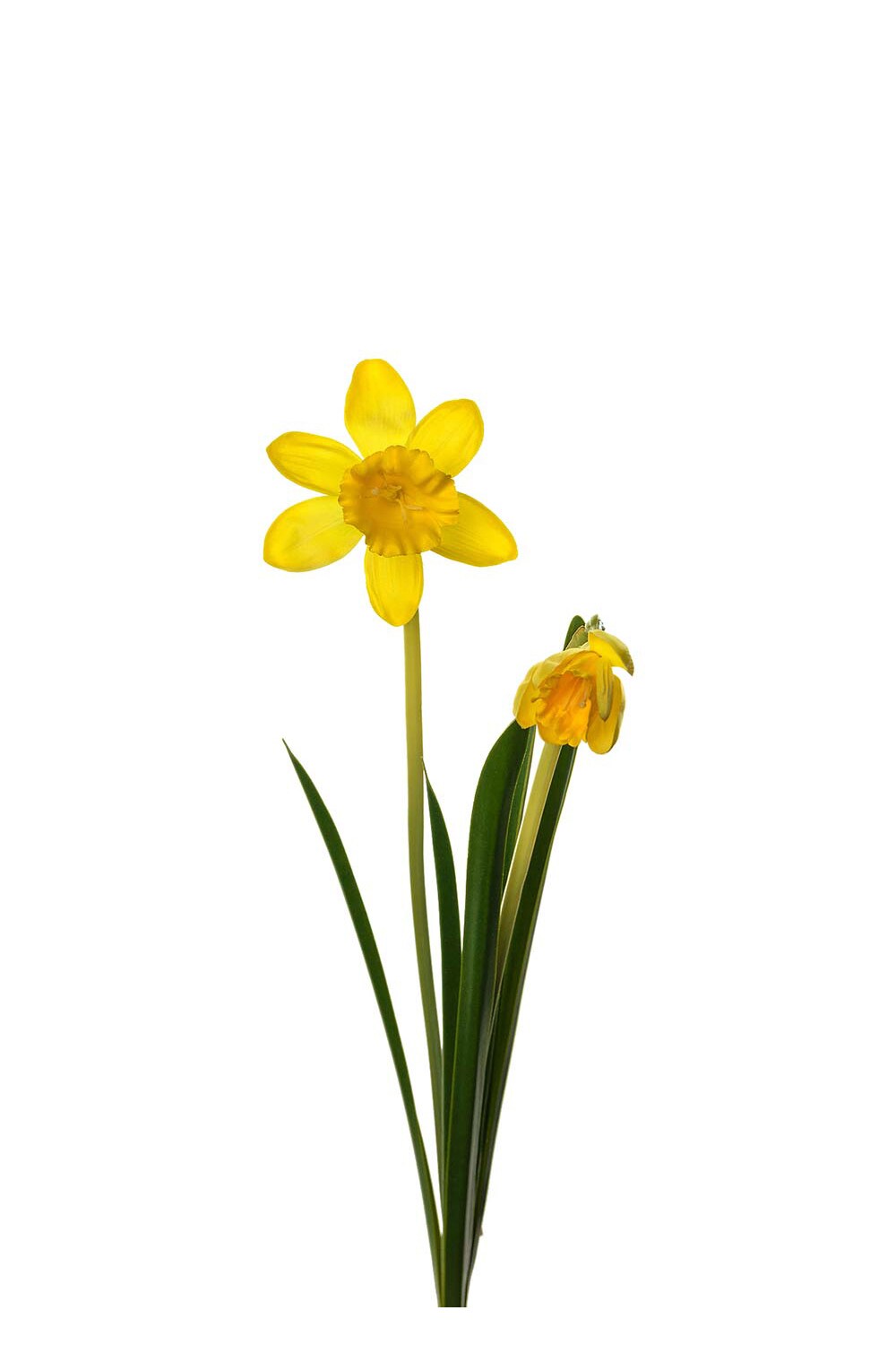 Kunstig gul Påskelilje 50 cm