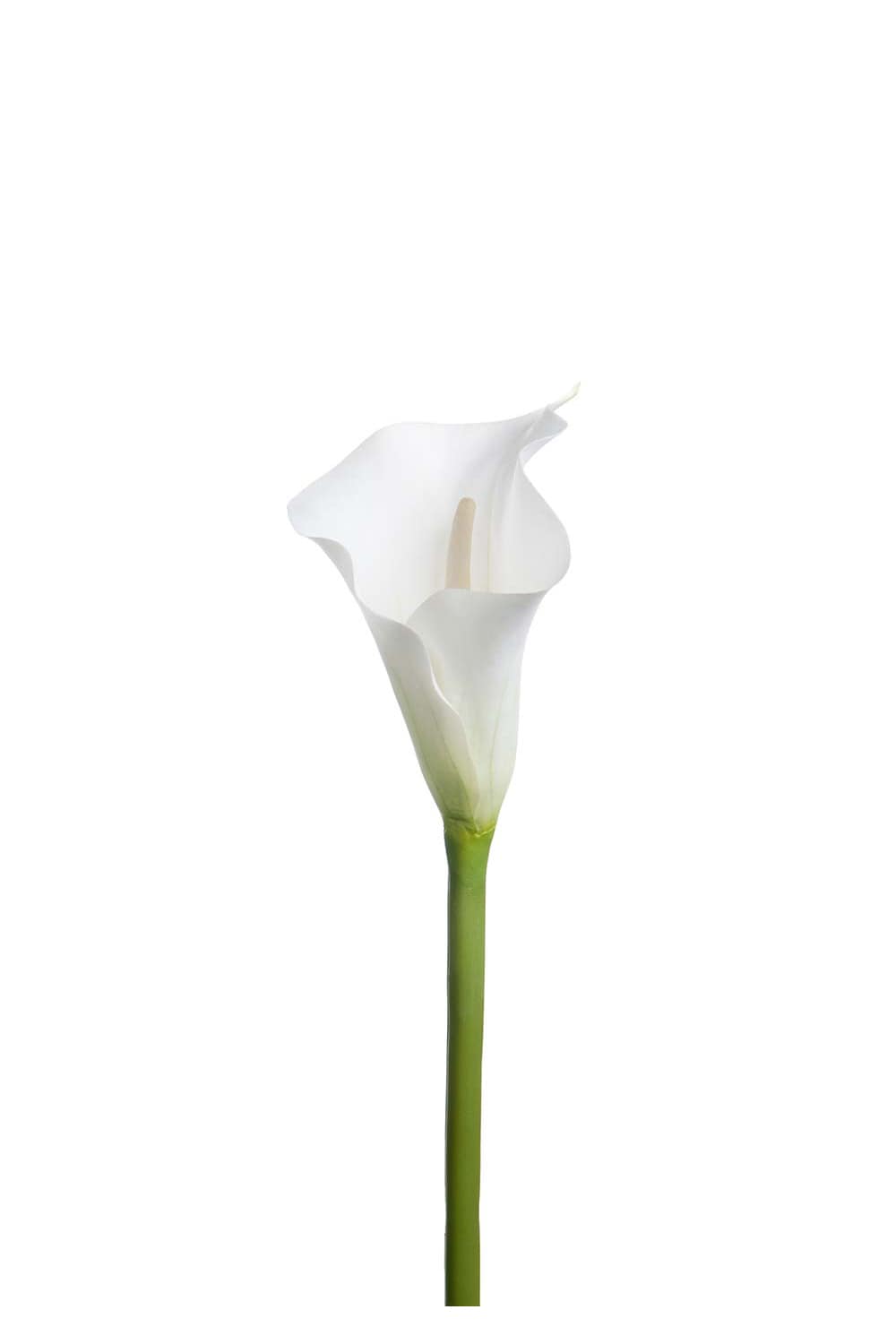Kunstig hvit Calla 80 cm