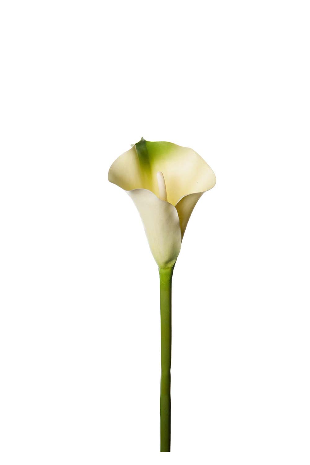 Kunstig grønn Calla 80 cm