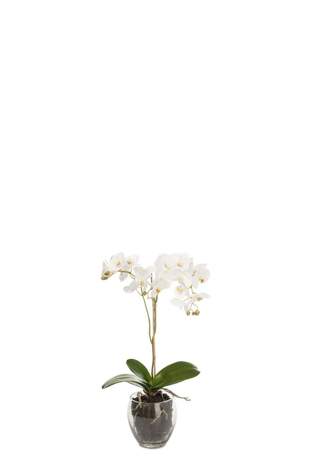 Kunstig hvit Phalaenopsis 65 cm