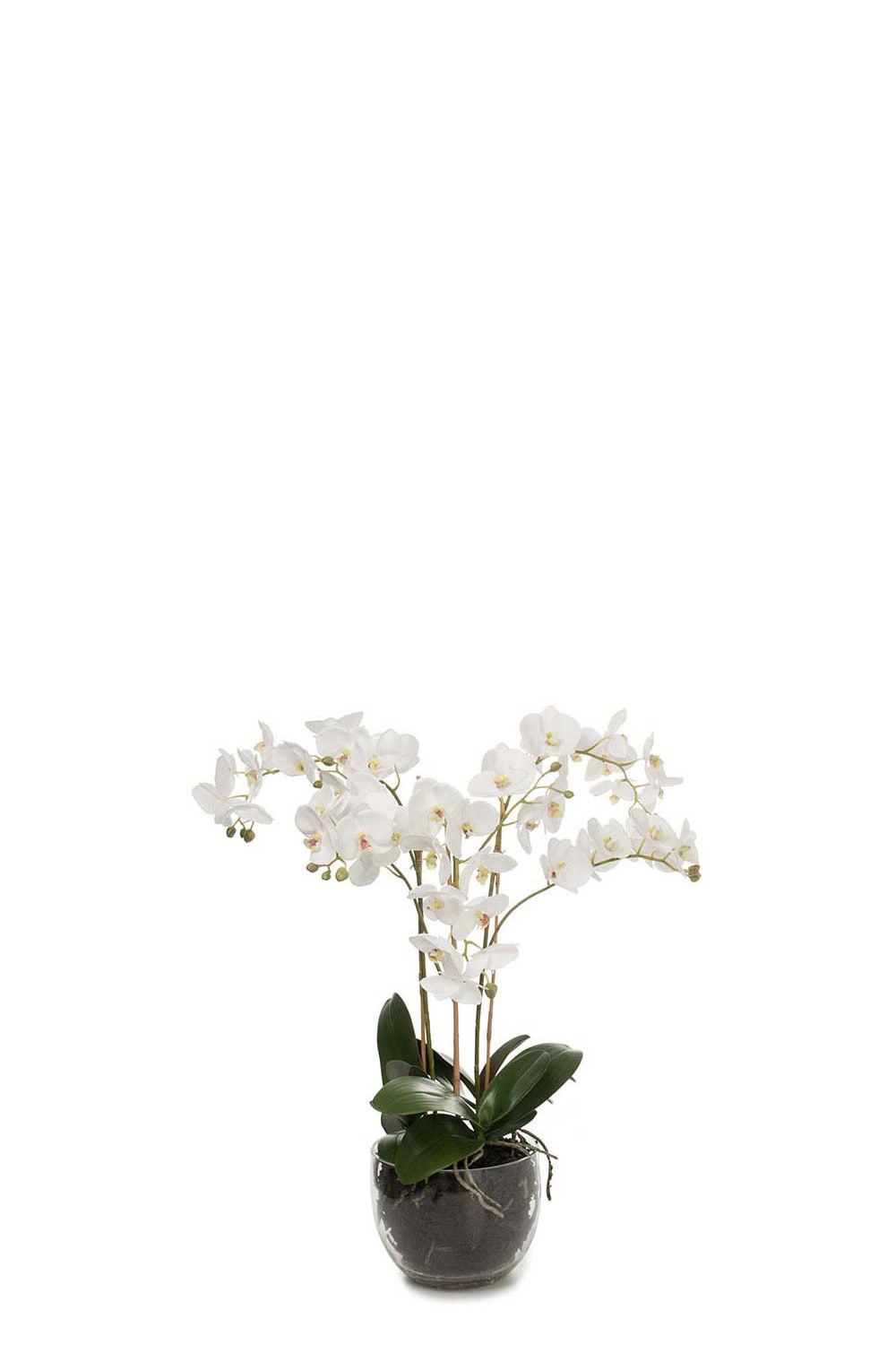 Kunstig hvit Phalaenopsis 70 cm