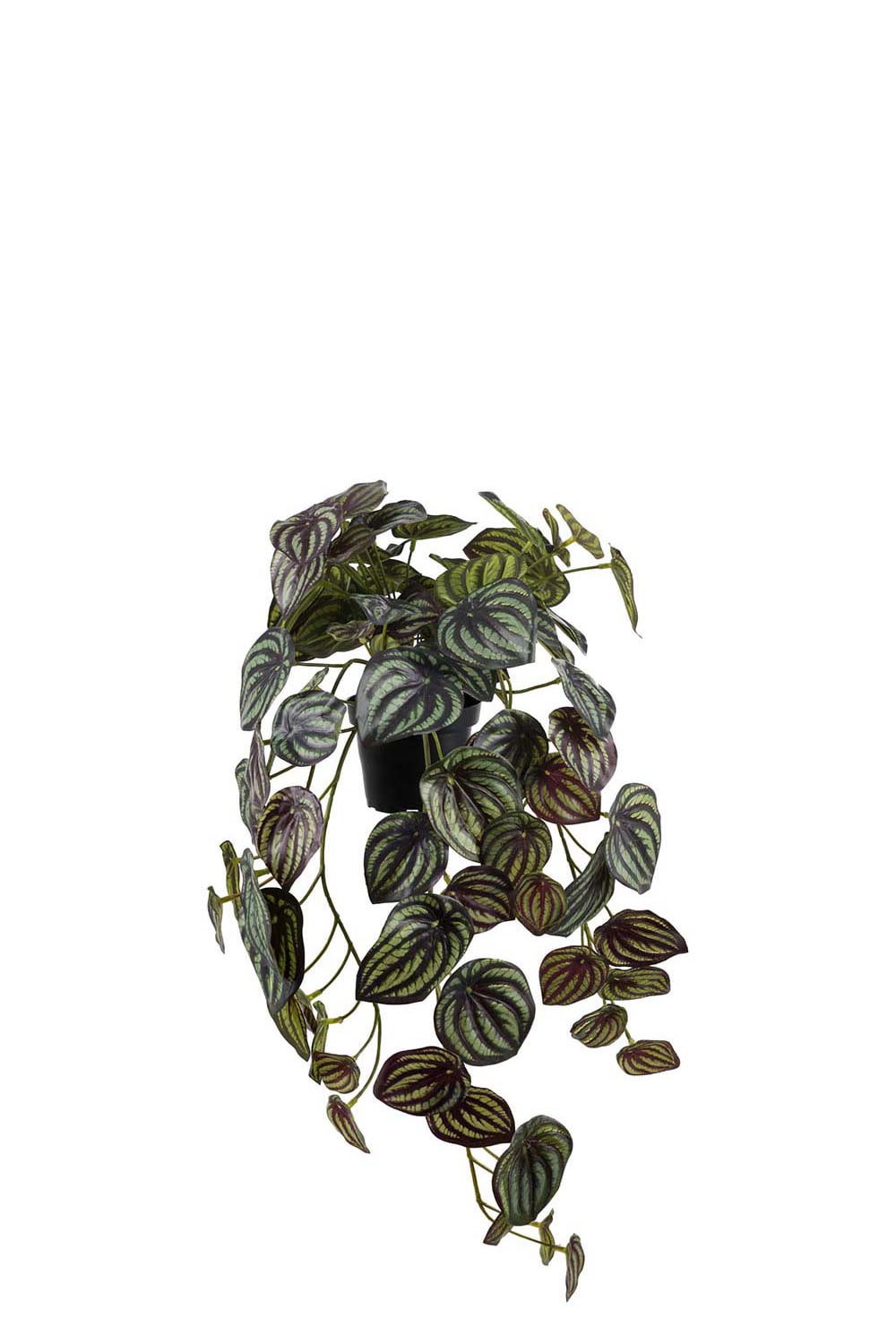 Kunstig grønn Peperomia 20 cm