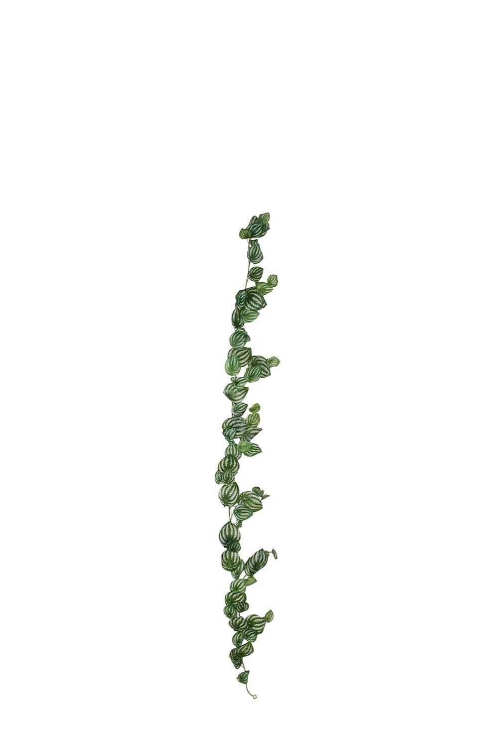 Kunstig grønn Peperomiagirlander 180 cm