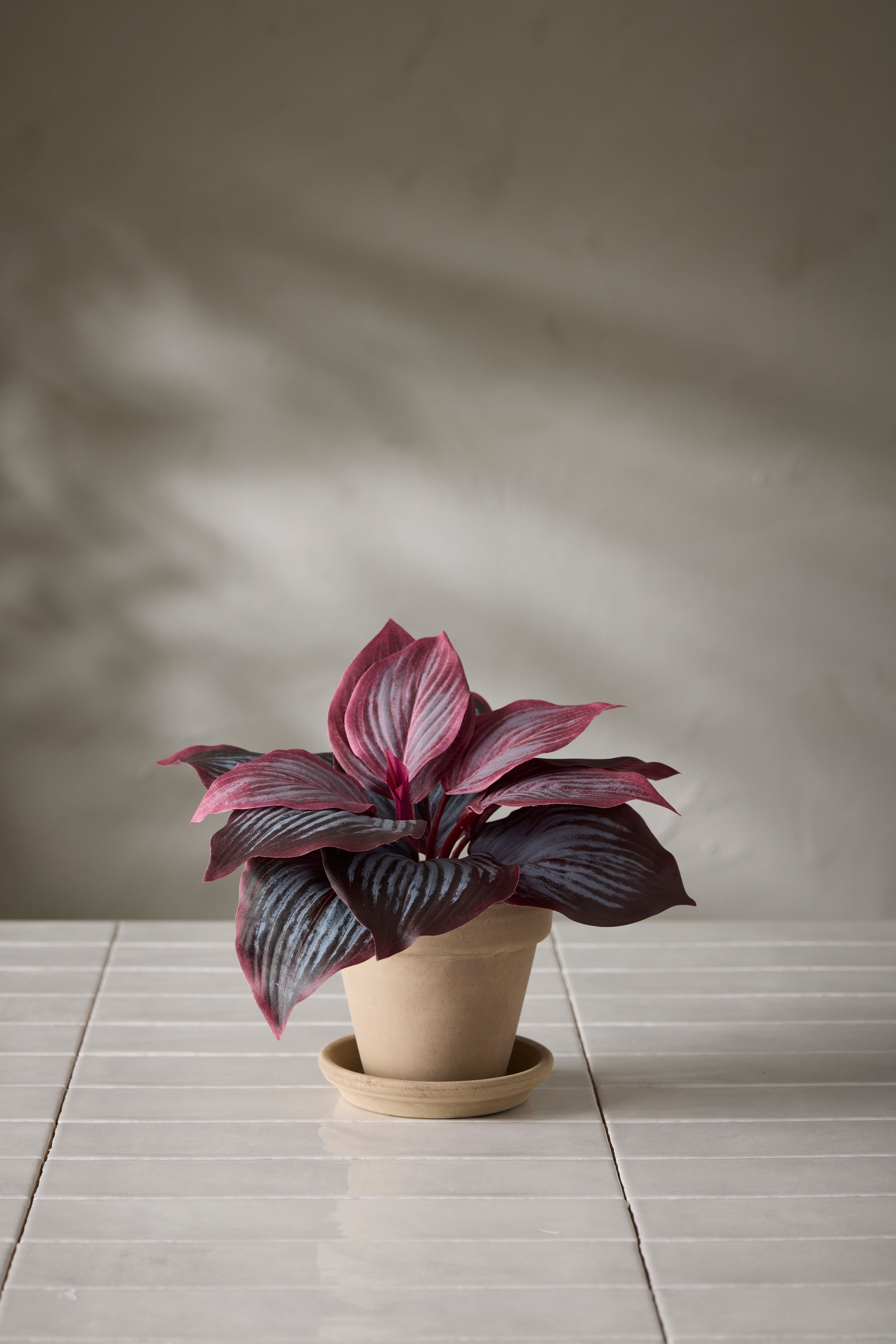 Kunstig burgunderfarget hosta 20 cm