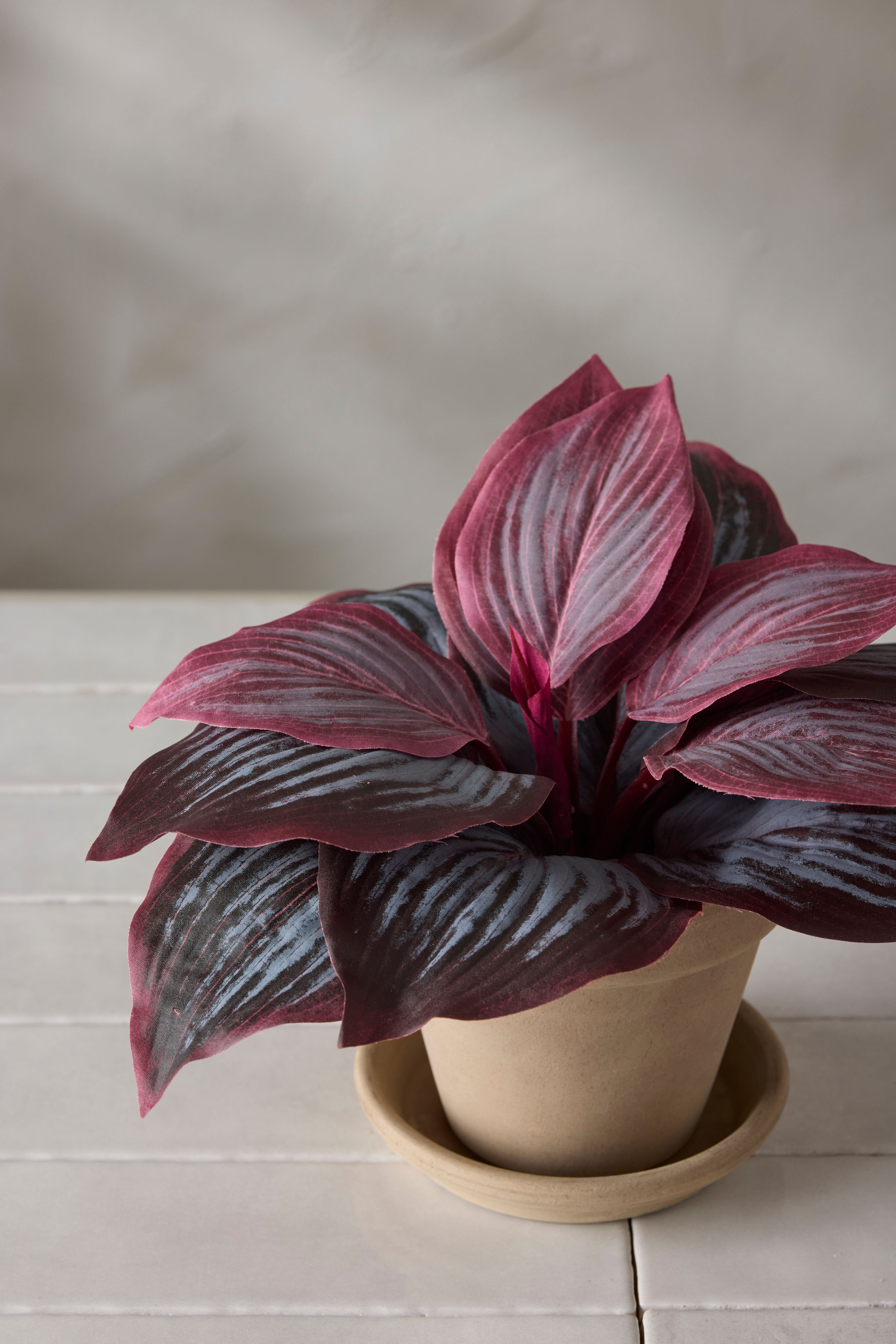 Kunstig burgunderfarget hosta 20 cm