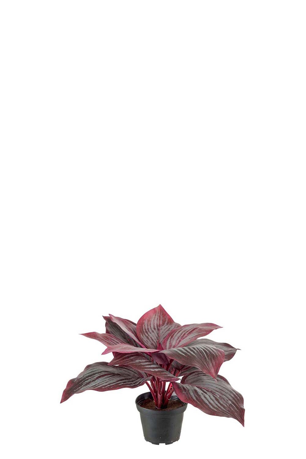 Kunstig burgunderfarget hosta 20 cm