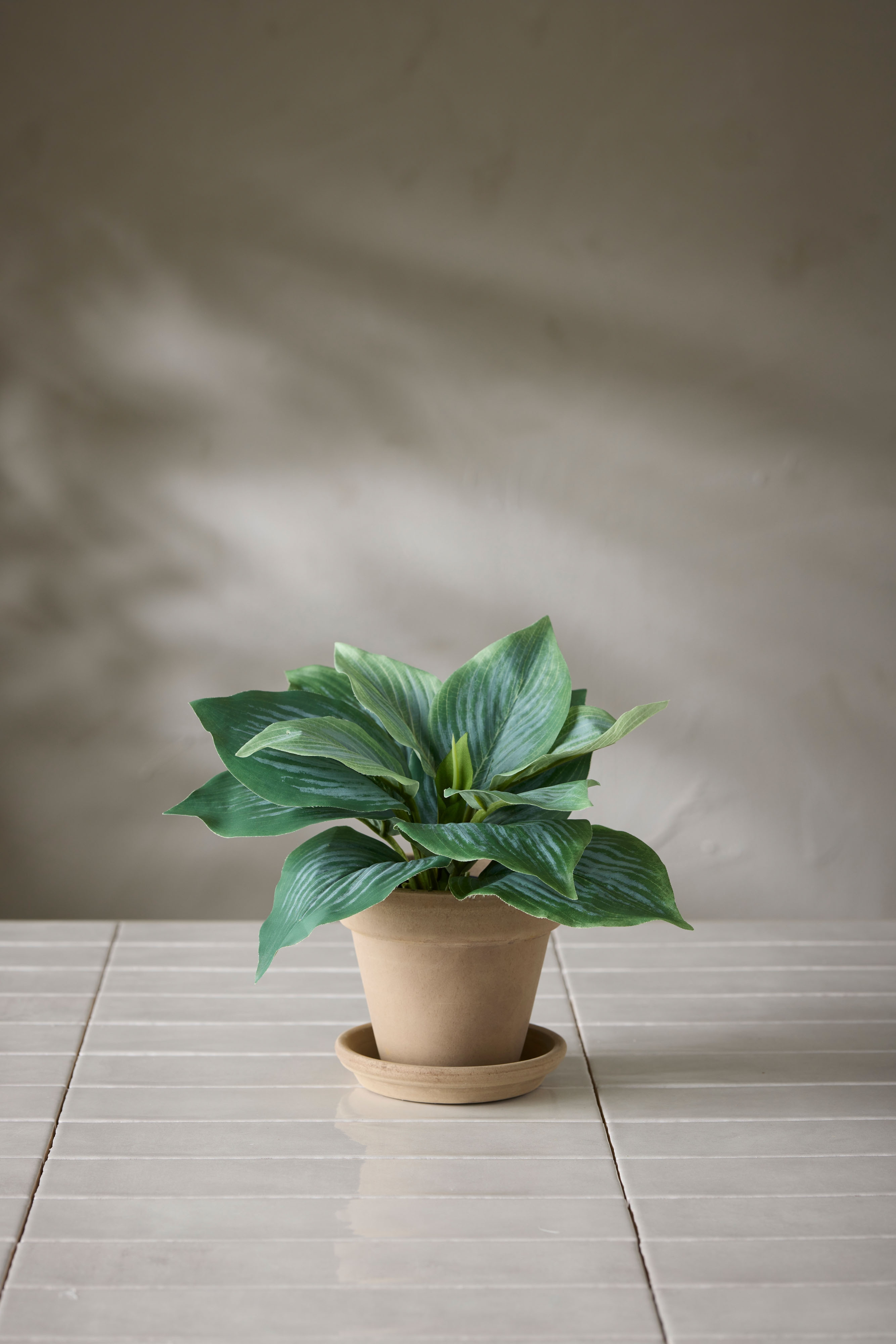 Kunstig grønn Hosta 20 cm