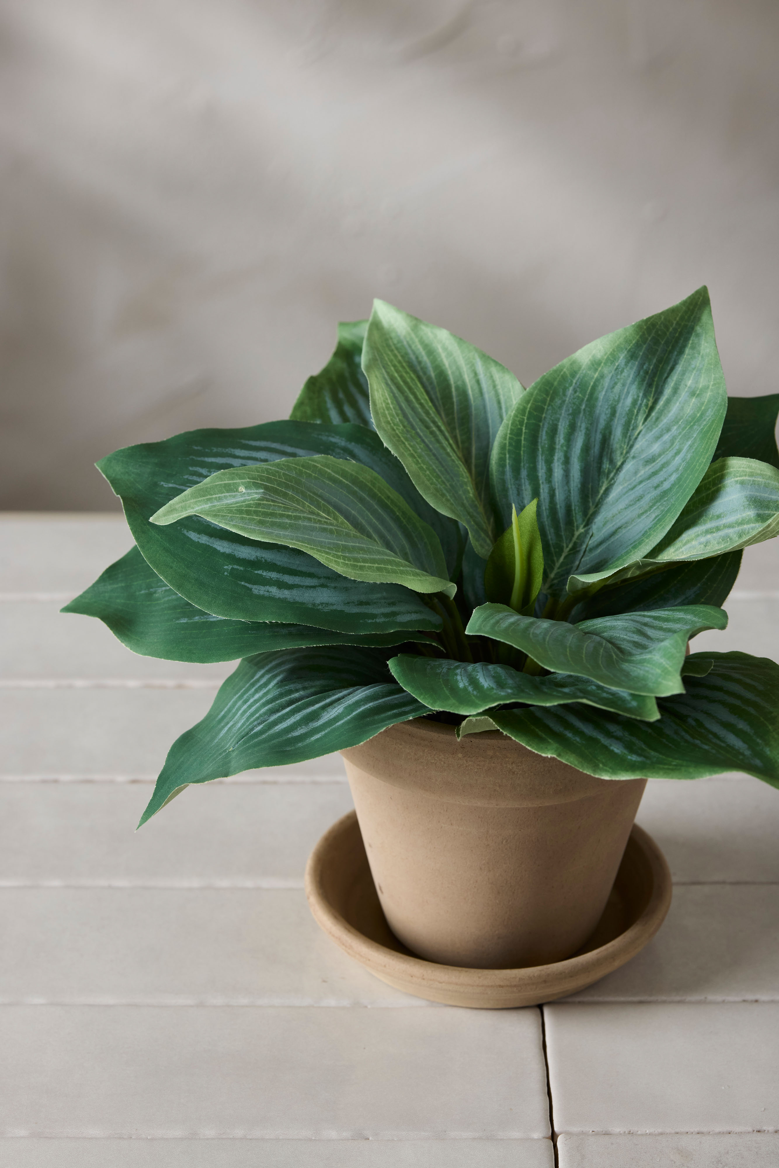 Kunstig grønn Hosta 20 cm