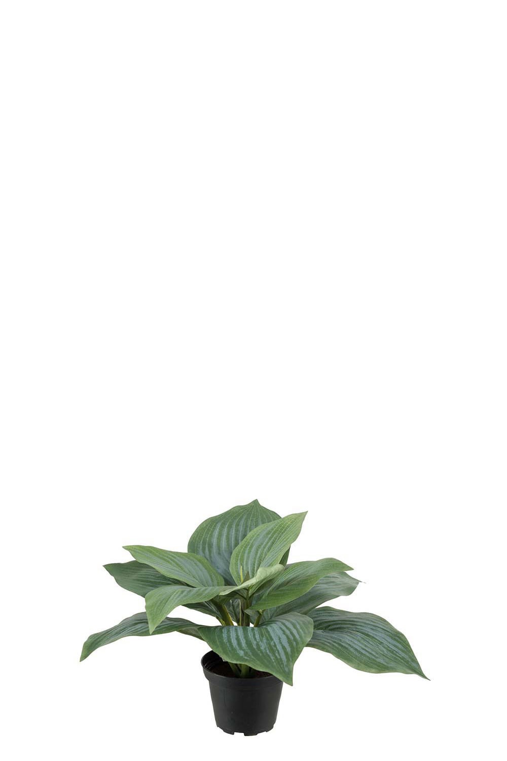 Kunstig grønn Hosta 20 cm