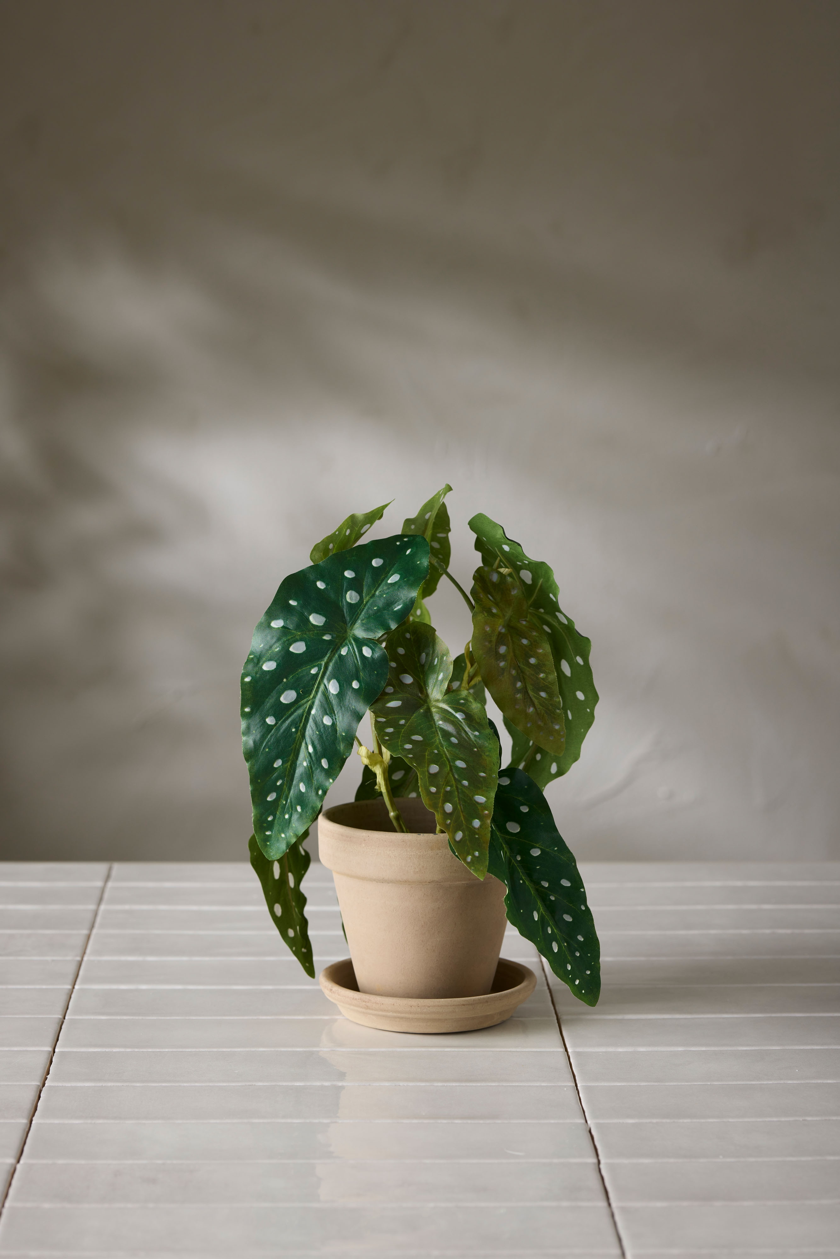 Kunstig grønn Forellbegonia 30 cm