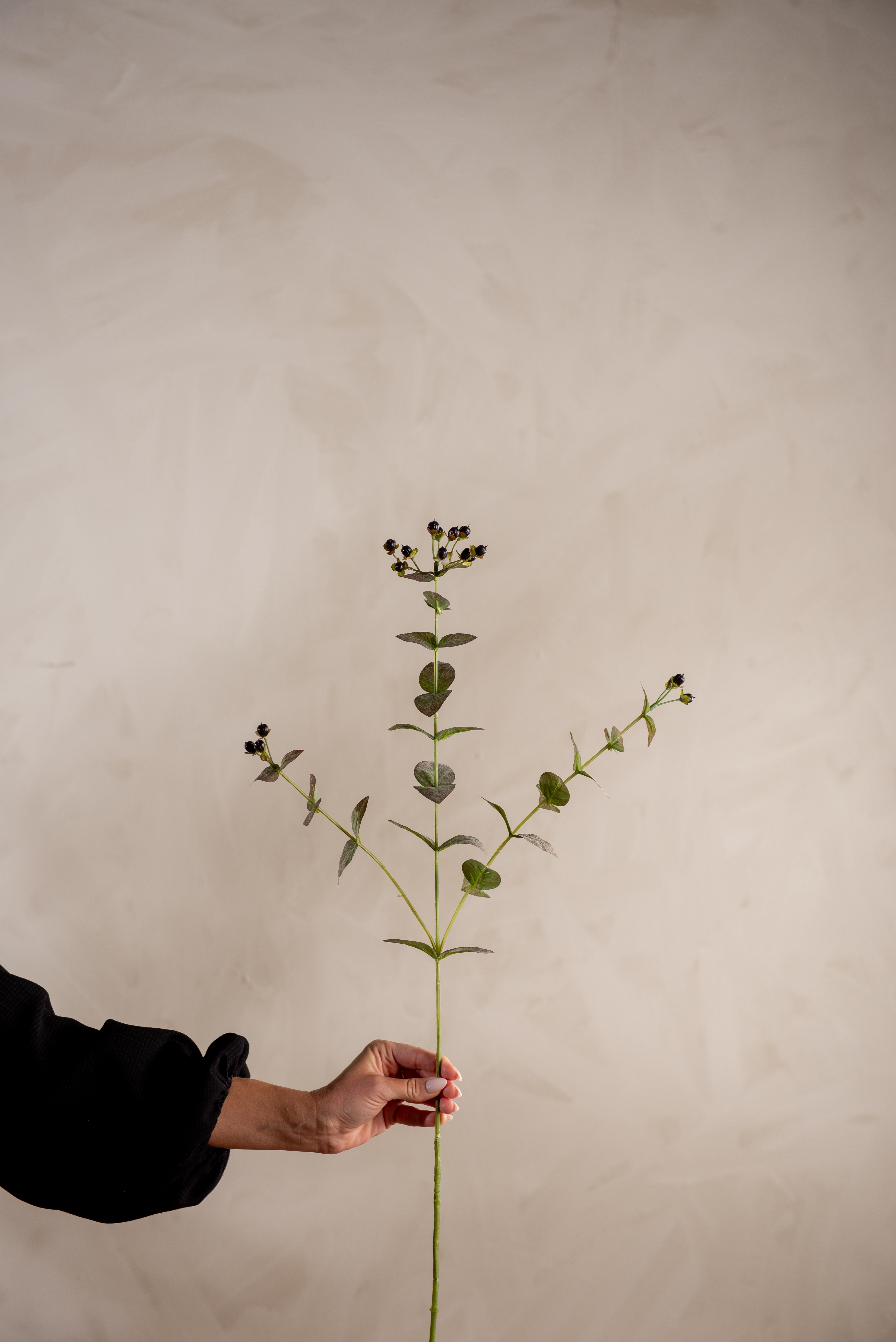 Kunstig grønn Eucalyptus med bær 72cm