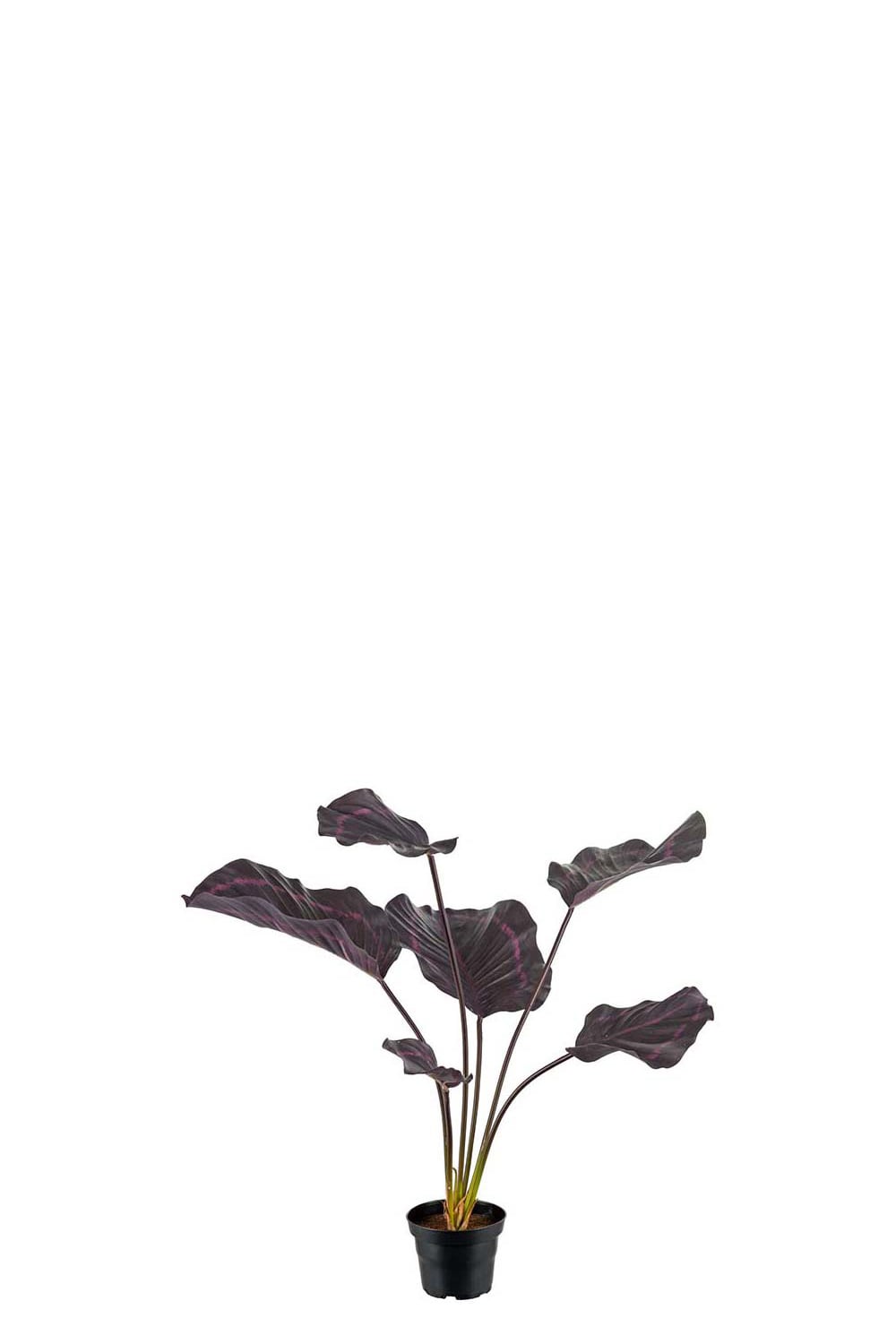 Kunstig burgunderfarget Calathea 55 cm