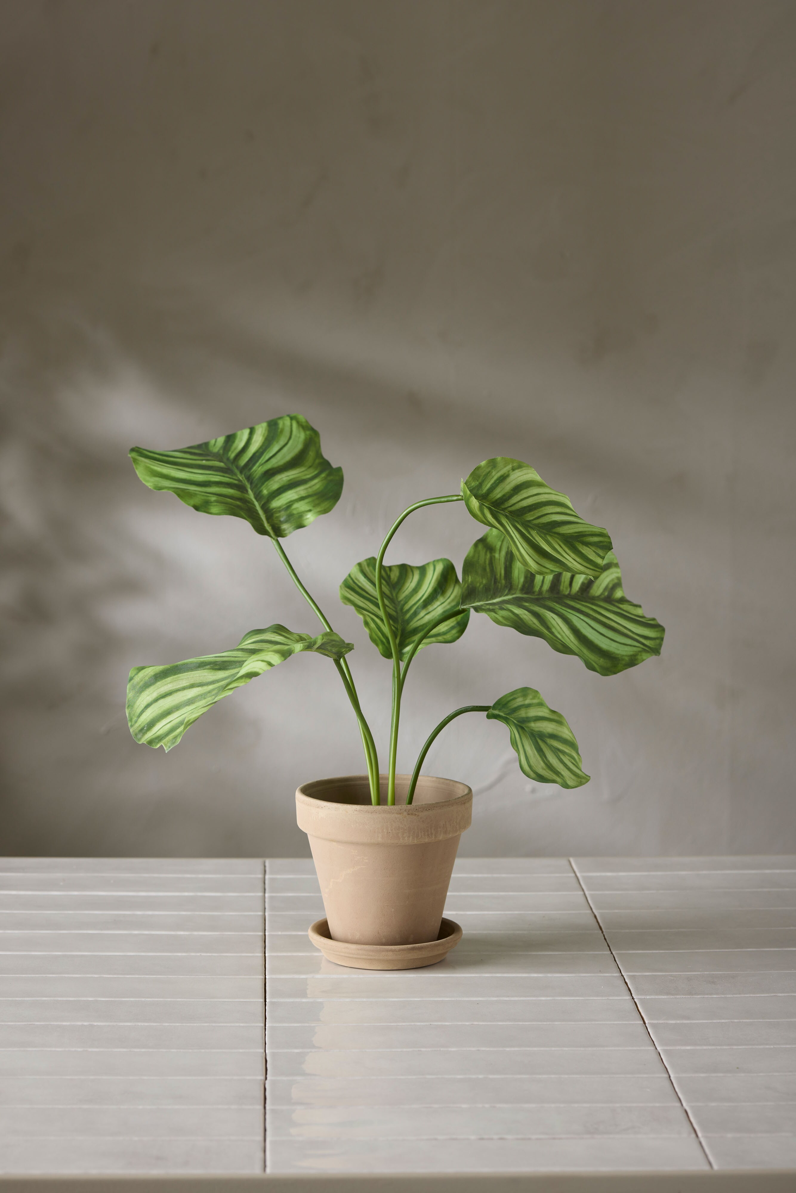 Kunstig grønn Calathea 55 cm