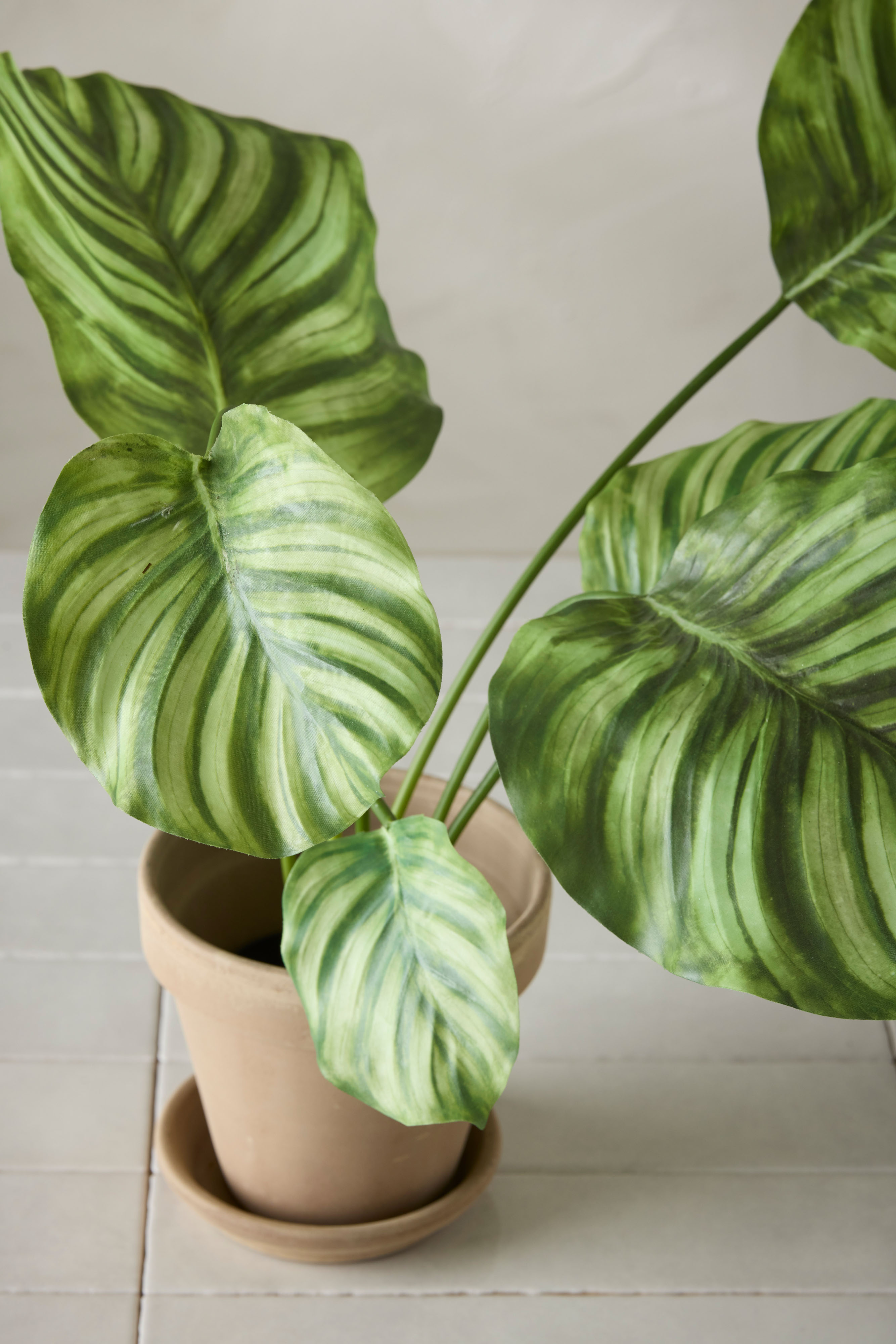 Kunstig grønn Calathea 55 cm