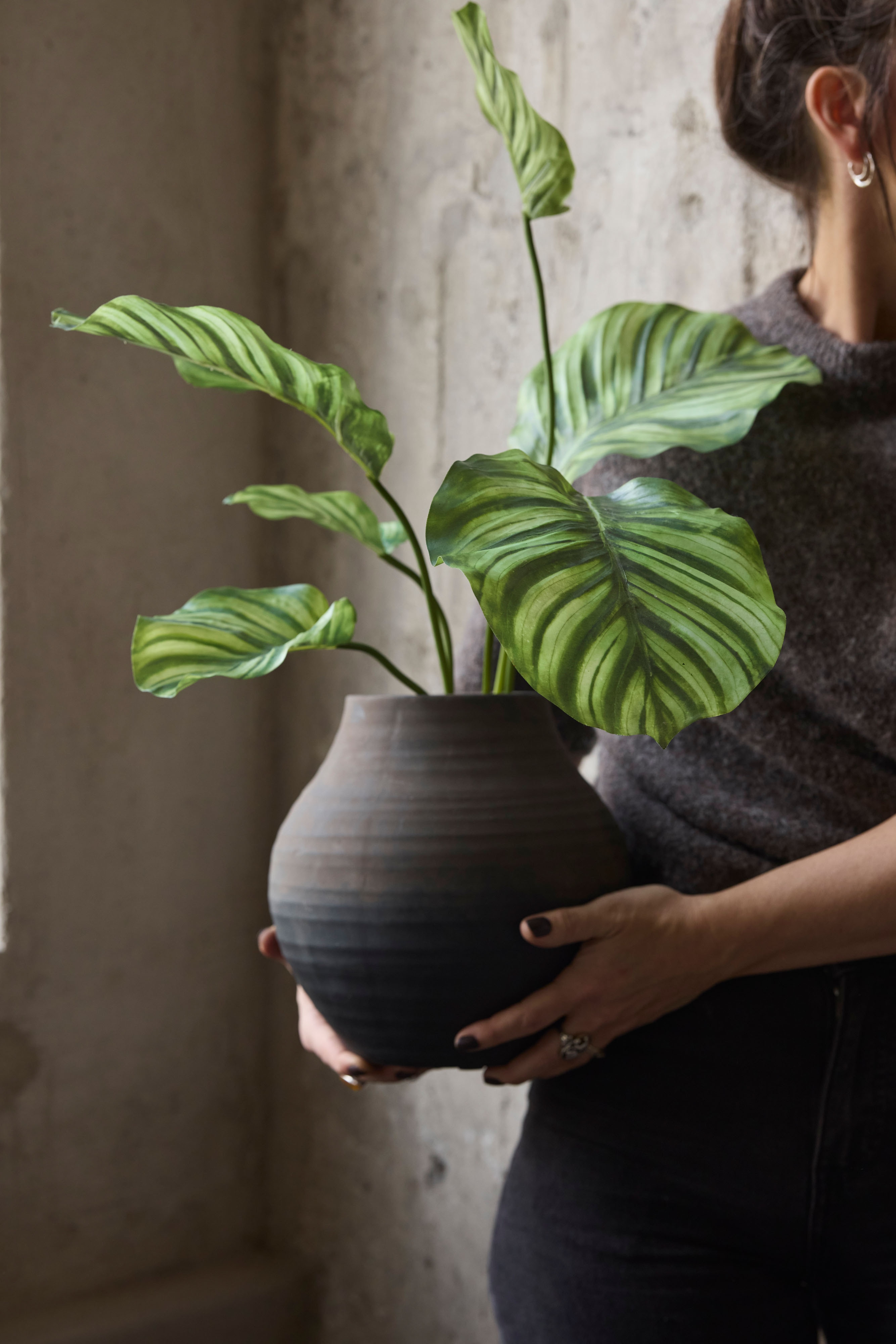 Kunstig grønn Calathea 55 cm