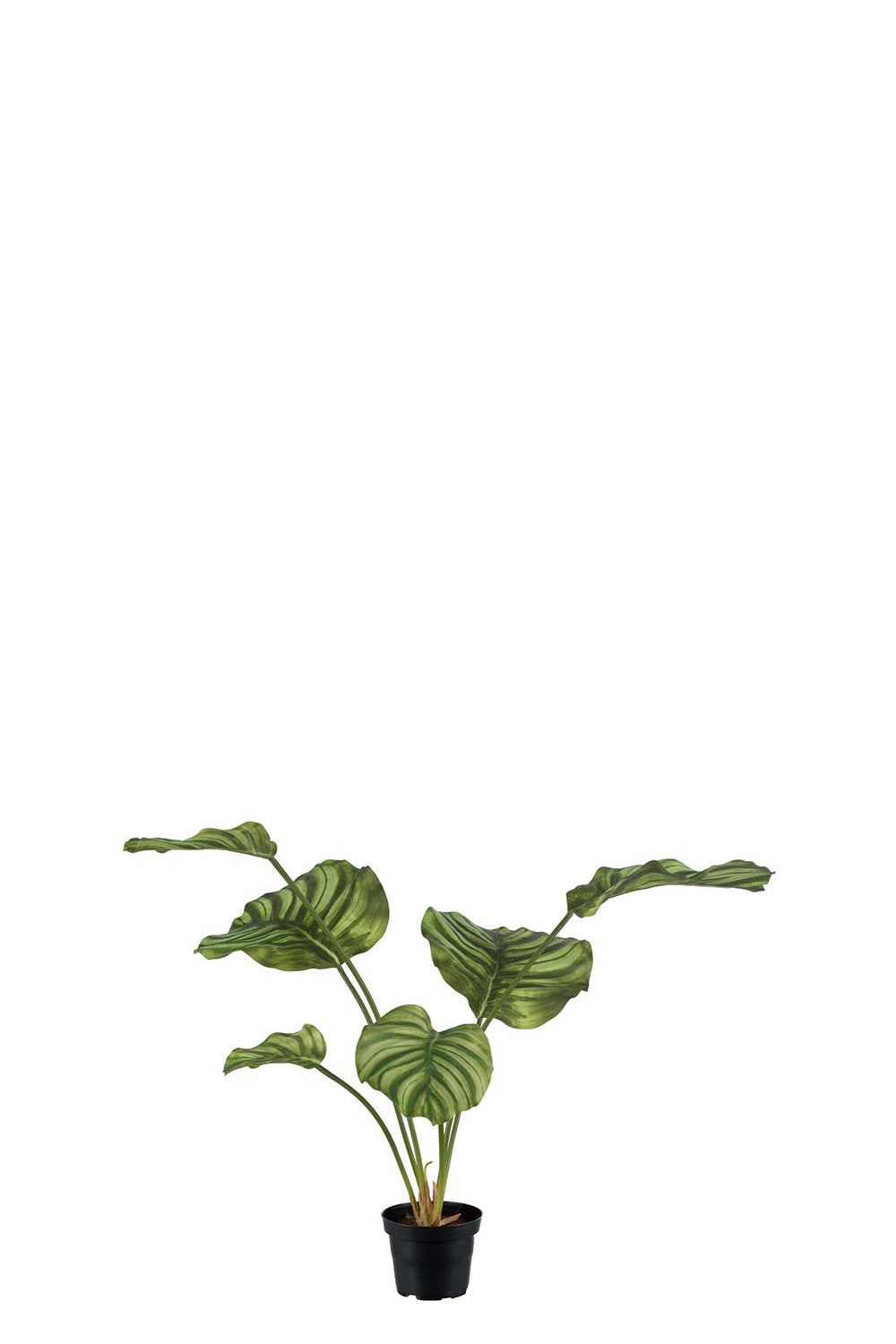 Kunstig grønn Calathea 55 cm