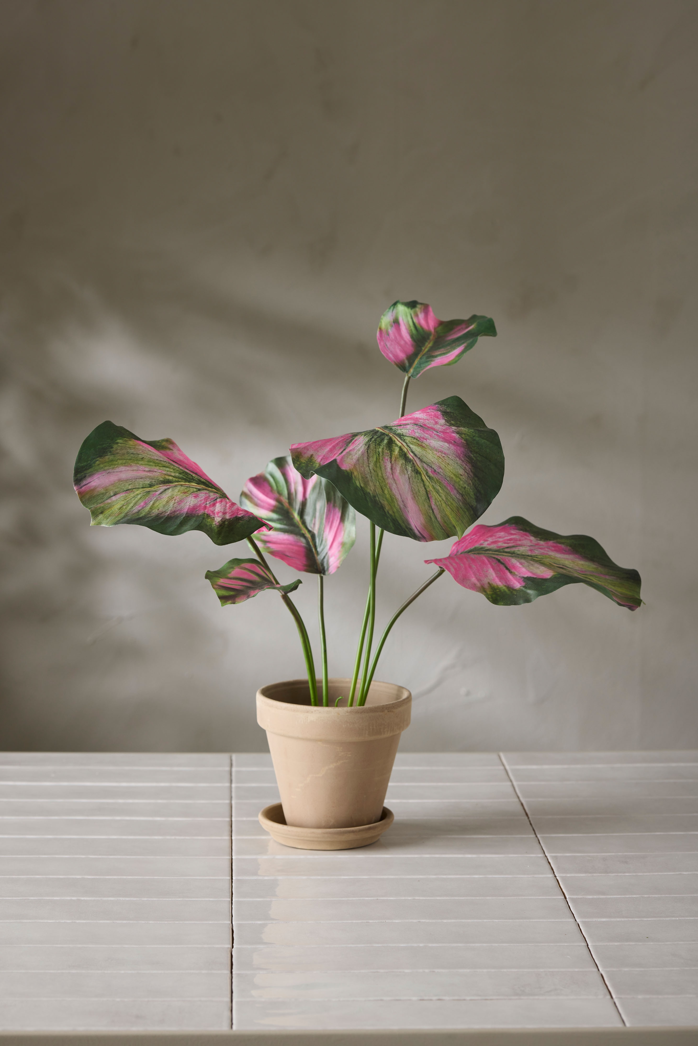 Kunstig grønn Calathea 55 cm
