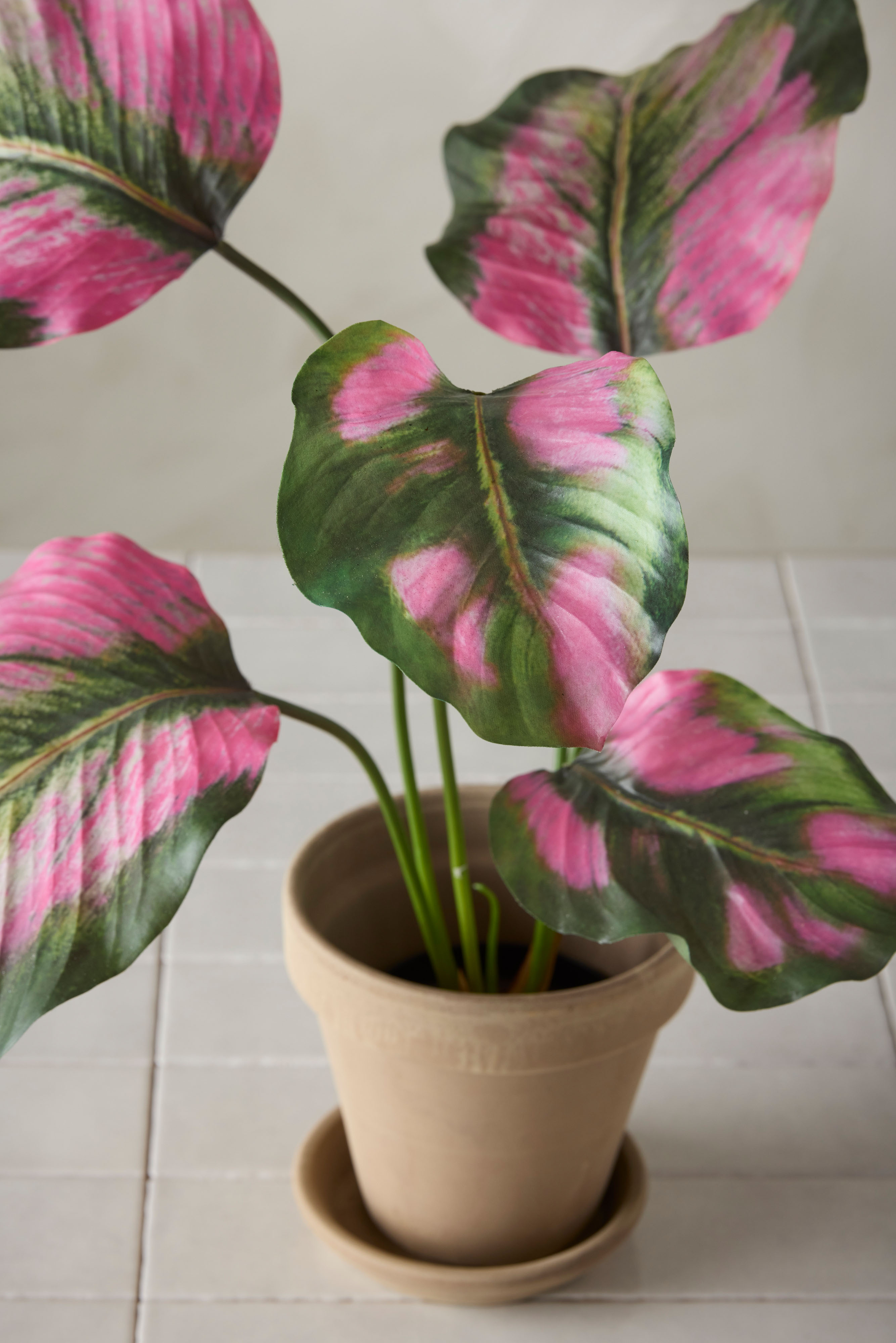 Kunstig grønn Calathea 55 cm