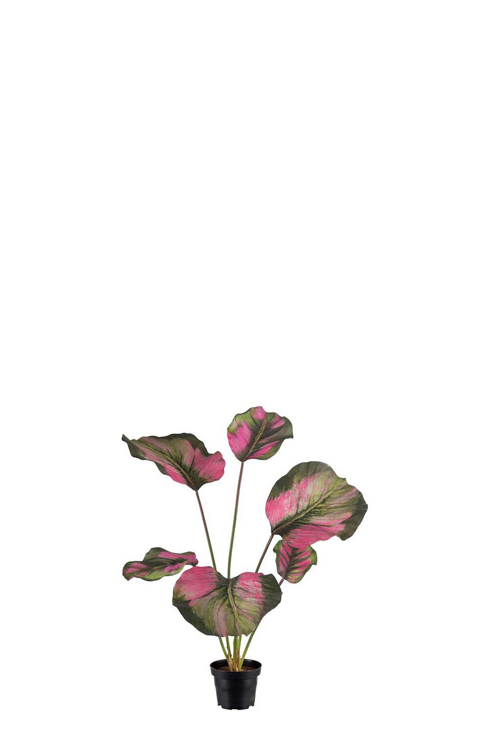 Kunstig grønn Calathea 55 cm