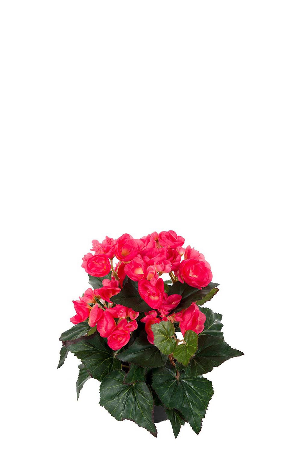 Kunstig rosa Begonia 28 cm