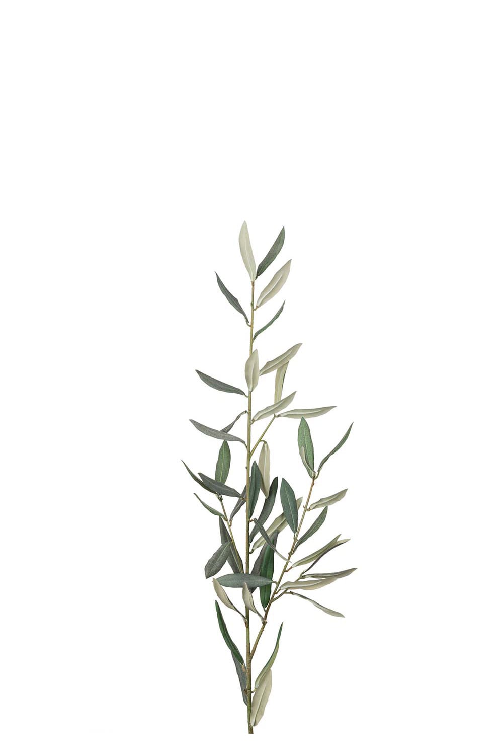 Kunstig grønn Olivenkvist 50 cm