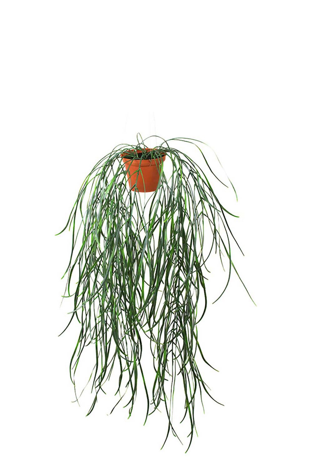 Kunstig grønn Hoya 70 cm