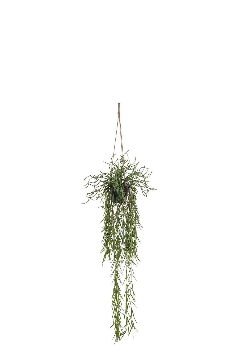 Kunstig grønn Rhipsalis 80 cm
