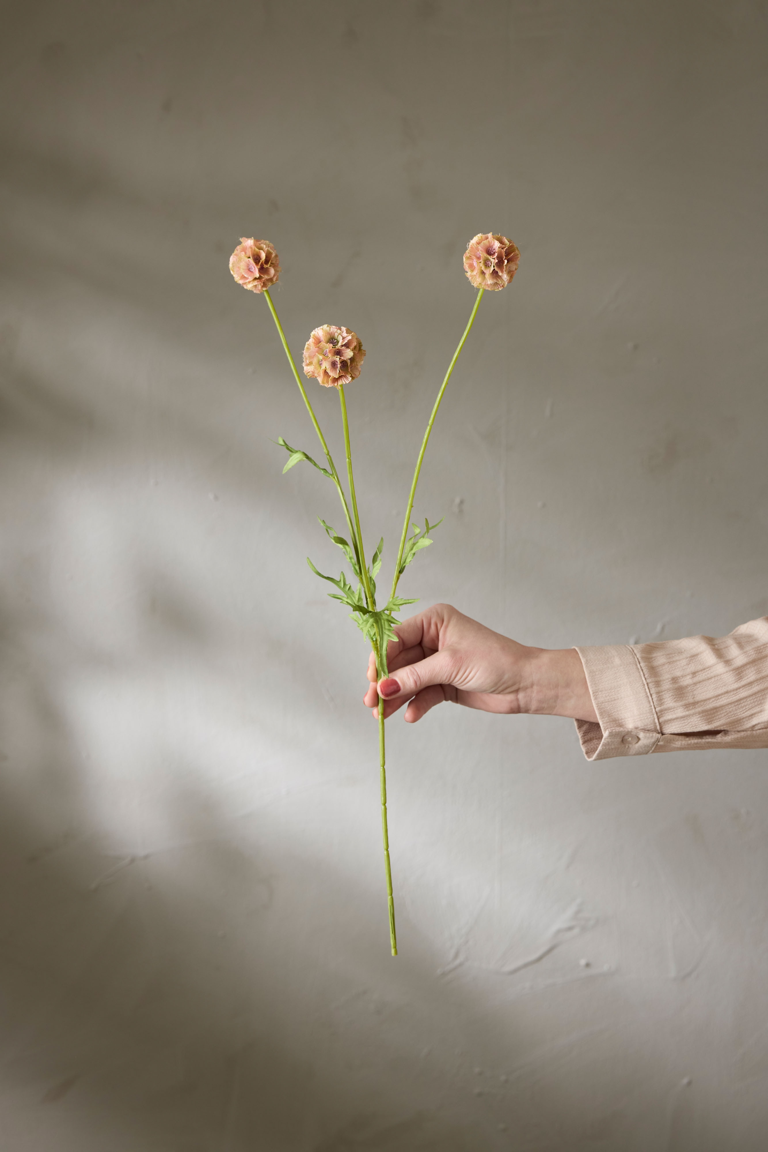 Kunstig brun Scabiosa 60 cm