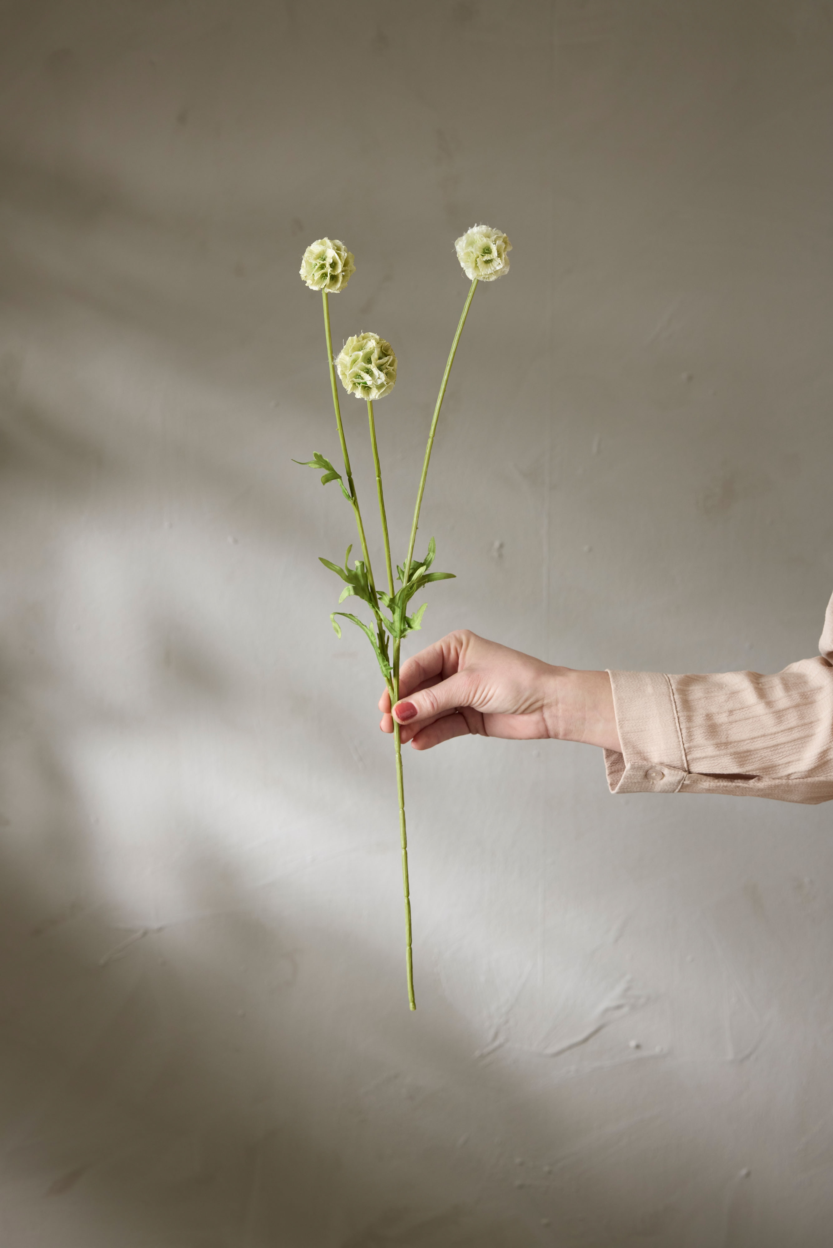 Kunstig grønn Scabiosa 60 cm