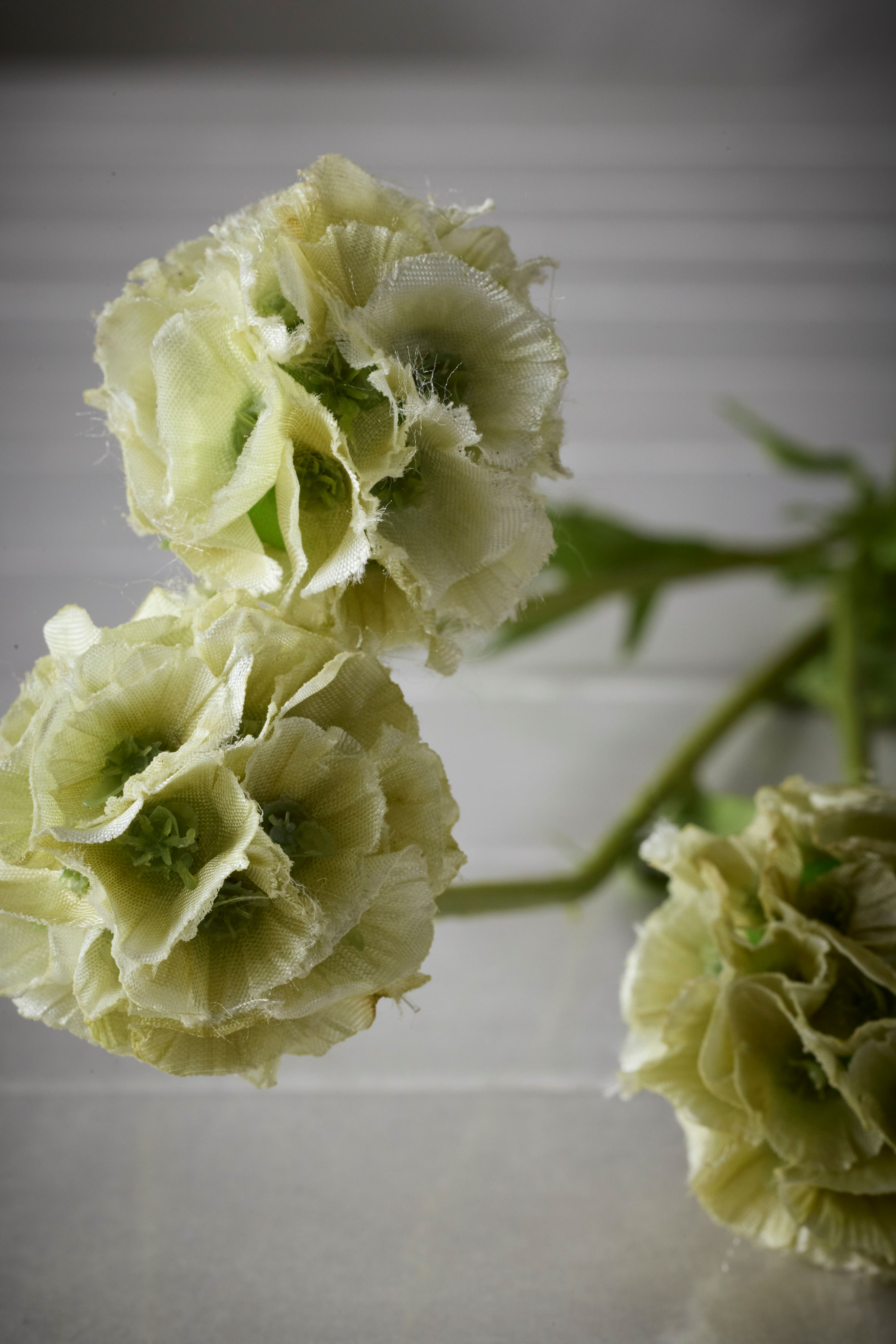 Kunstig grønn Scabiosa 60 cm