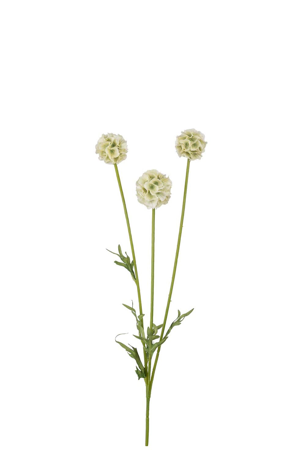 Kunstig grønn Scabiosa 60 cm
