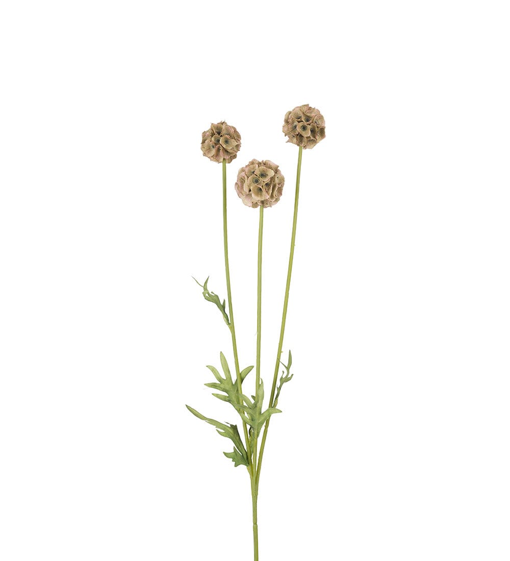 Kunstig grønn Scabiosa 60 cm