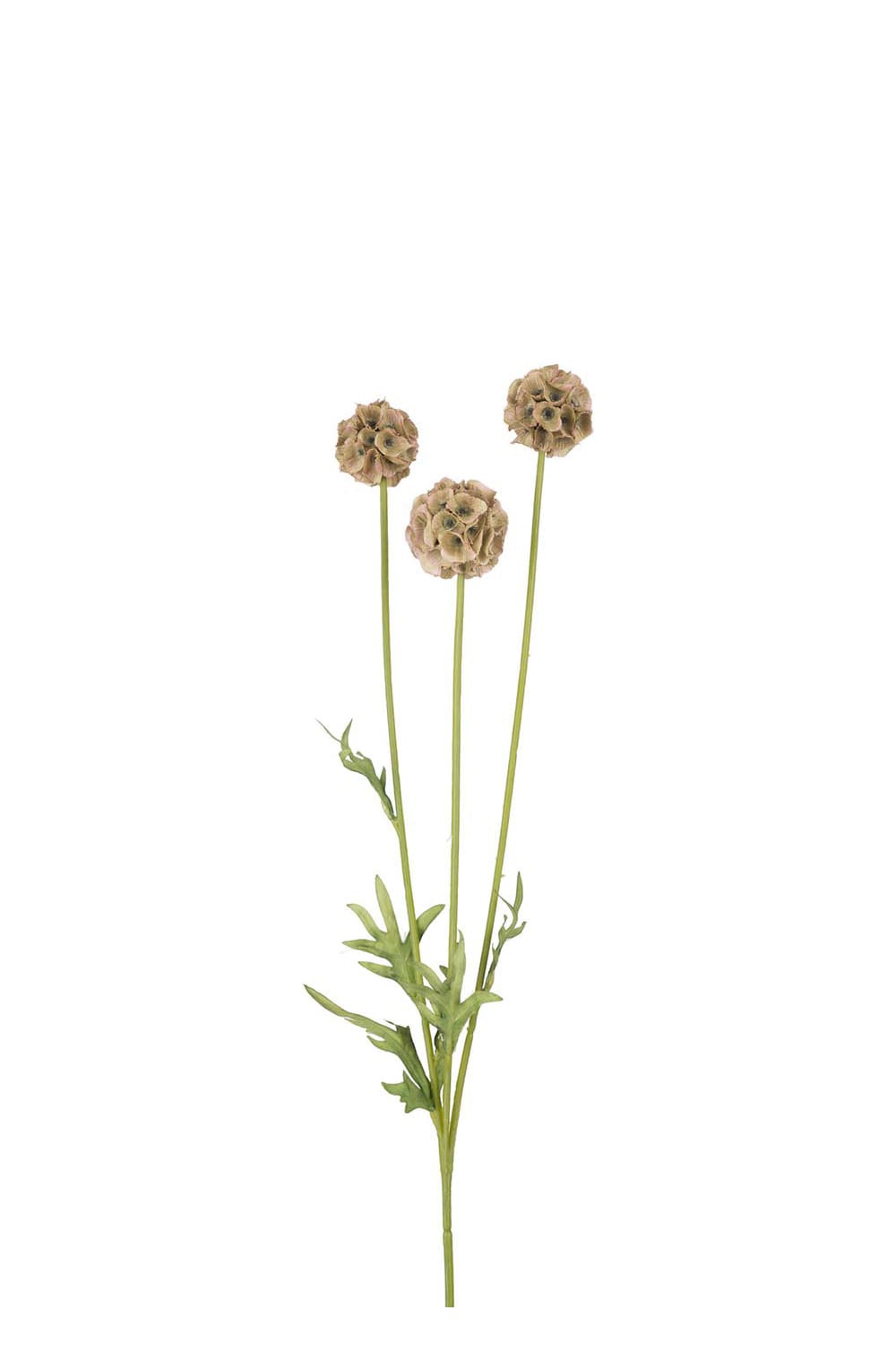 Kunstig grønn Scabiosa 60 cm
