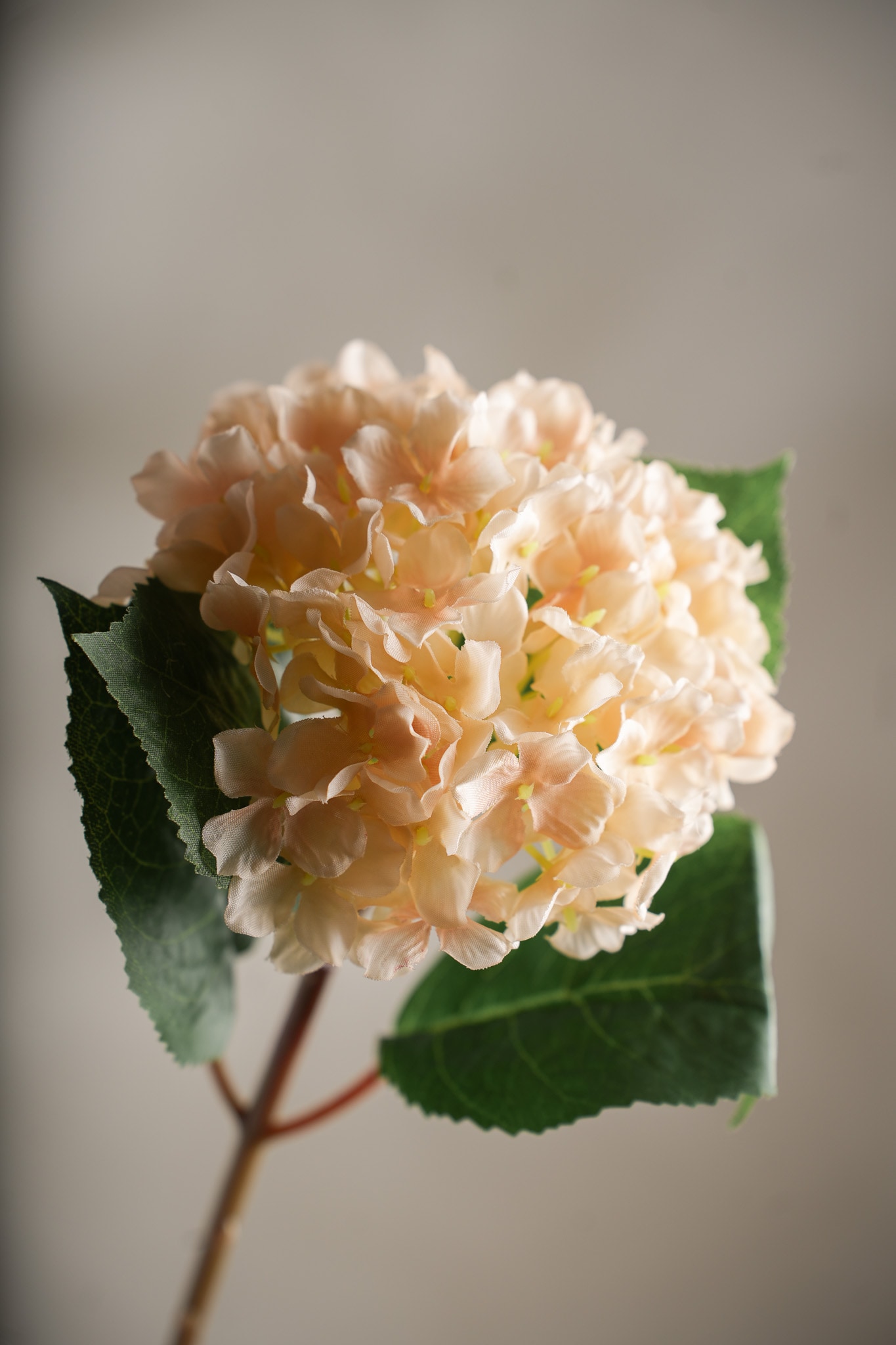 Kunstig kremfarget Hortensia 40 cm