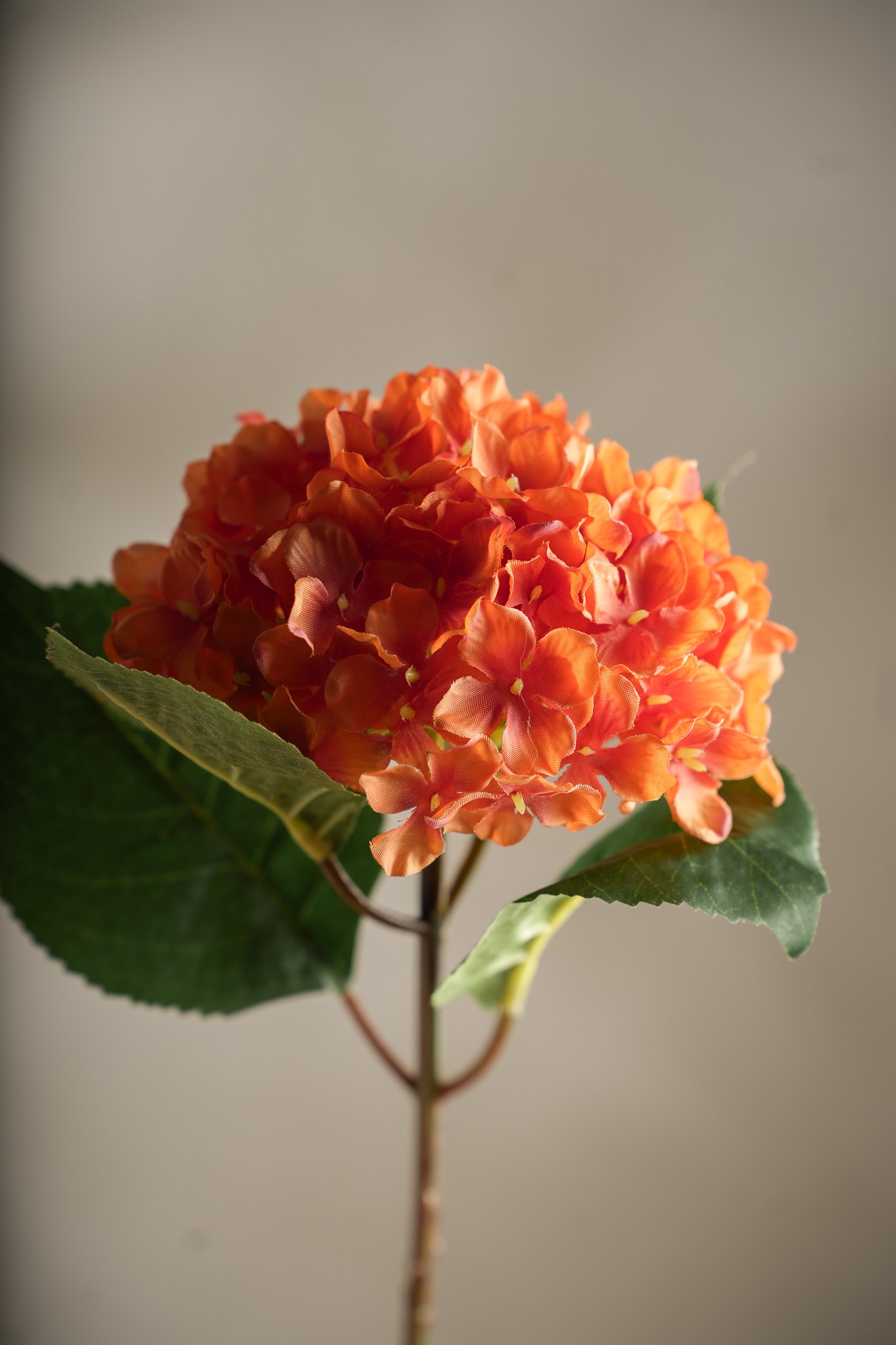 Kunstig oransje Hortensia 40 cm