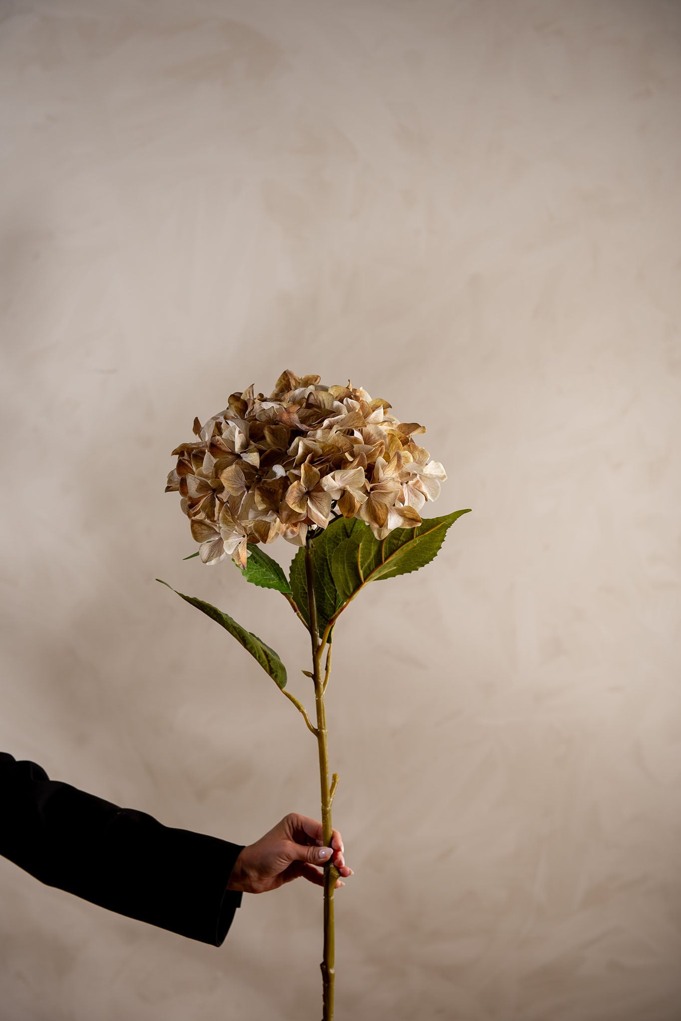 Kunstig beige Hortensia 110 cm