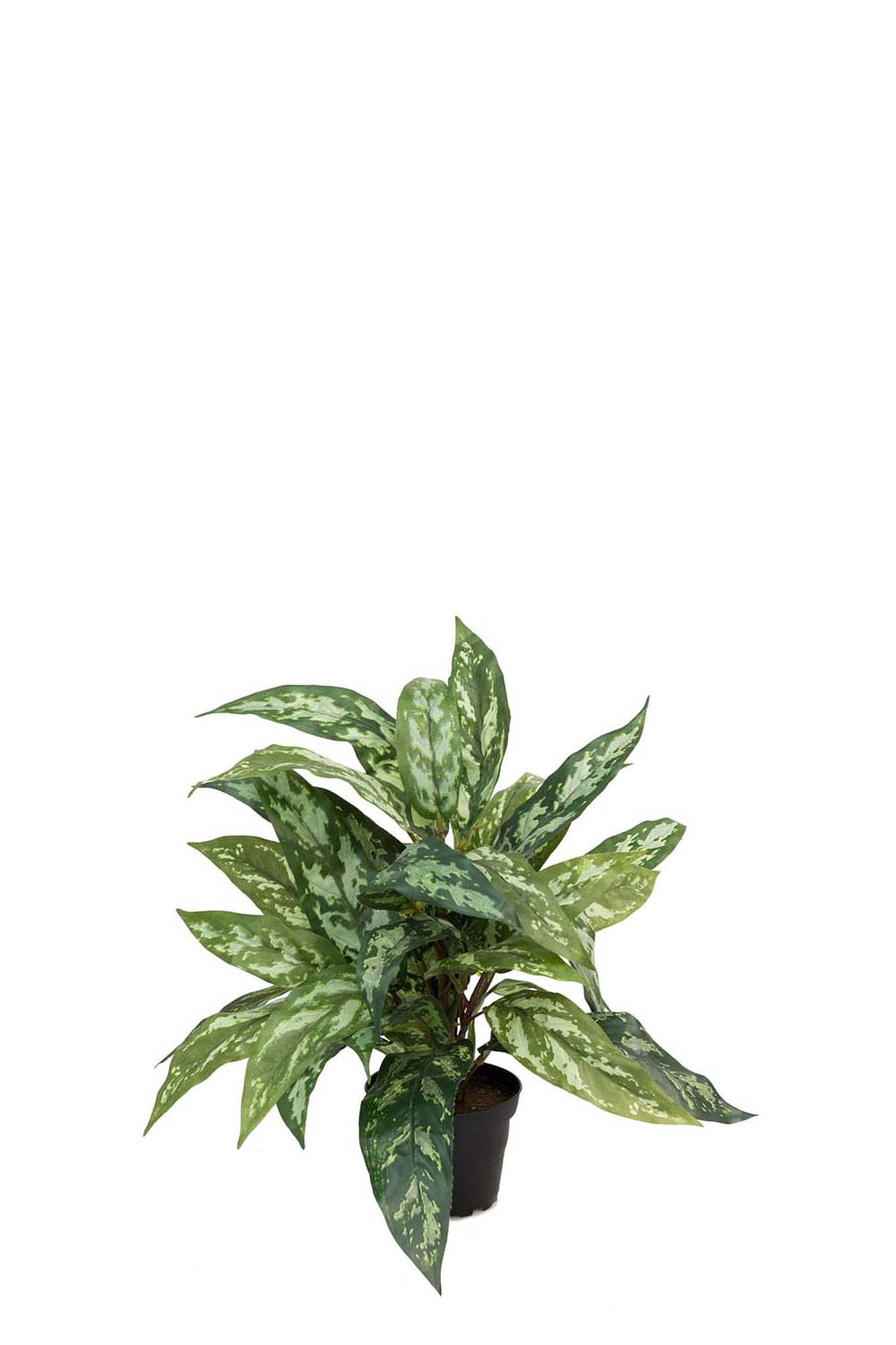 Kunstig grønn Aglaonema 35 cm