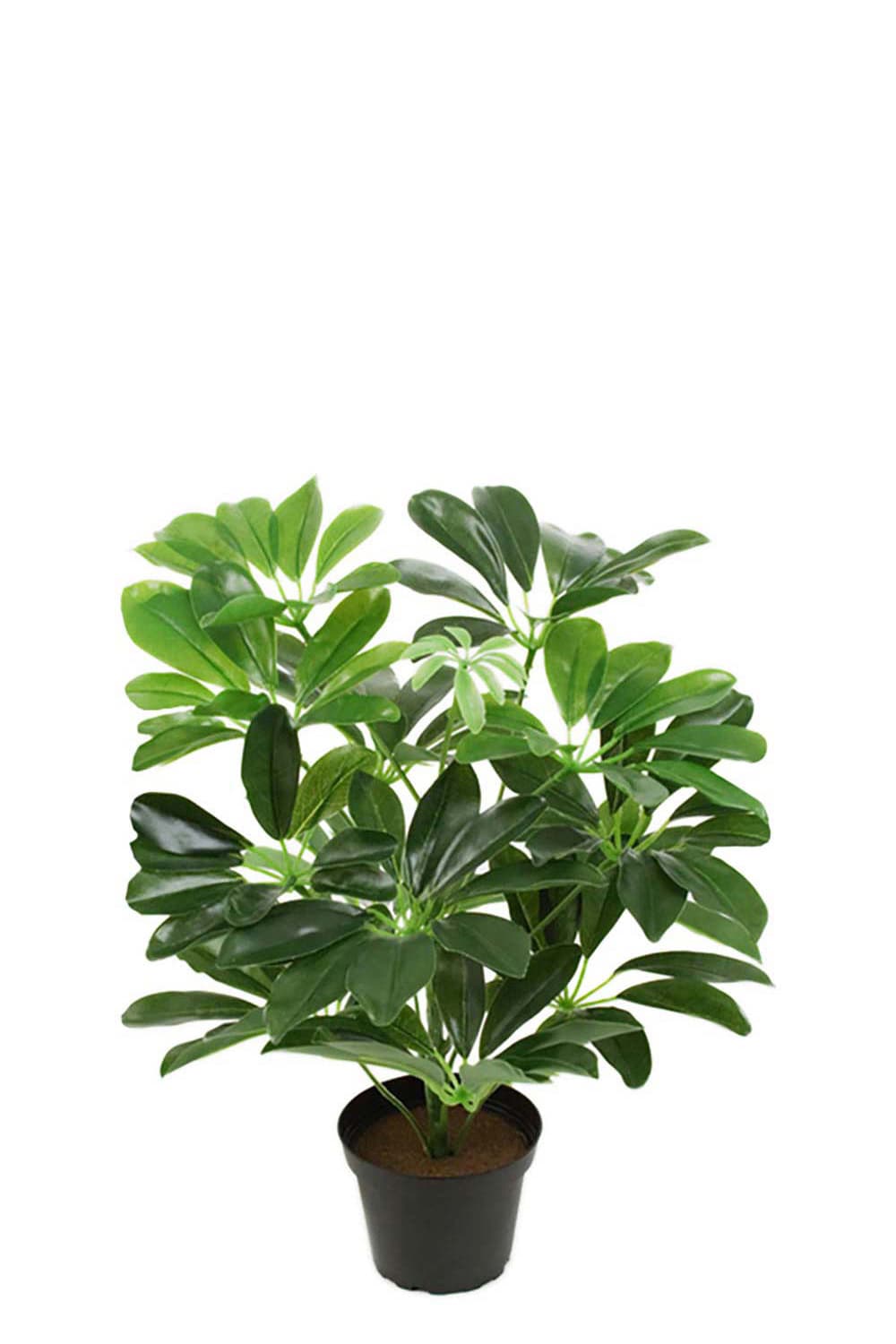 Kunstig grønn Schefflera 40 cm