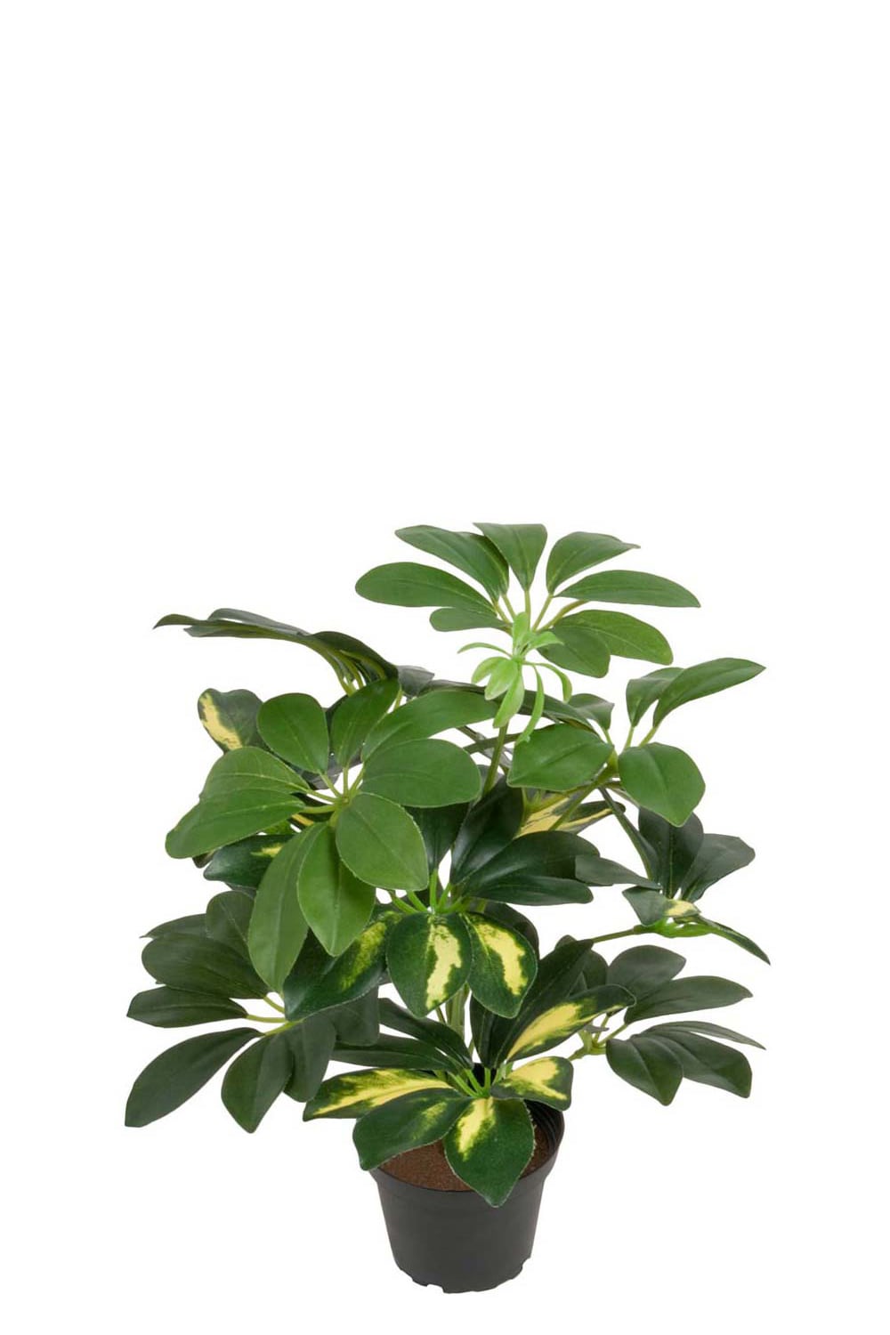 Kunstig grønn Schefflera 40 cm