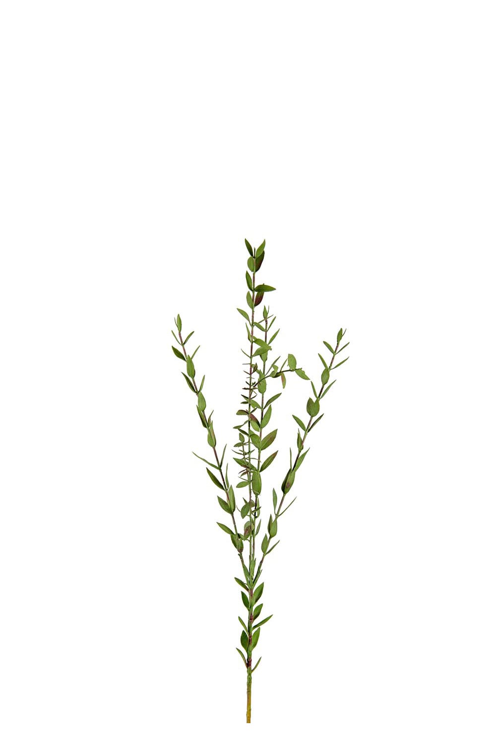Kunstig grønn Eucalyptus 70 cm