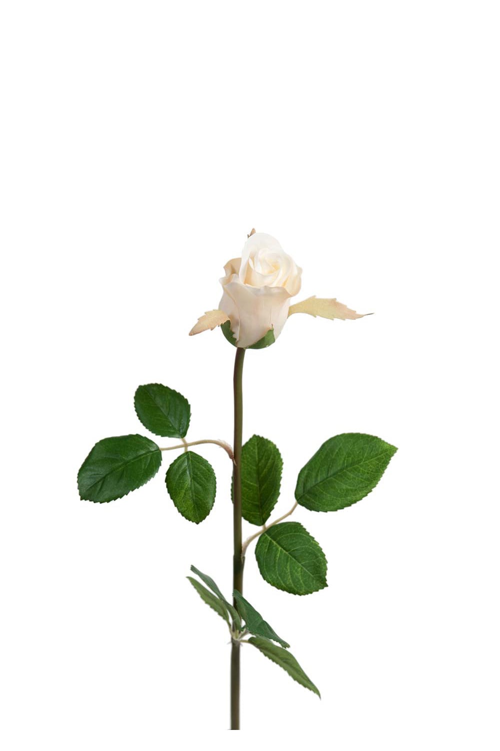 Kunstig hvit Rose 50 cm