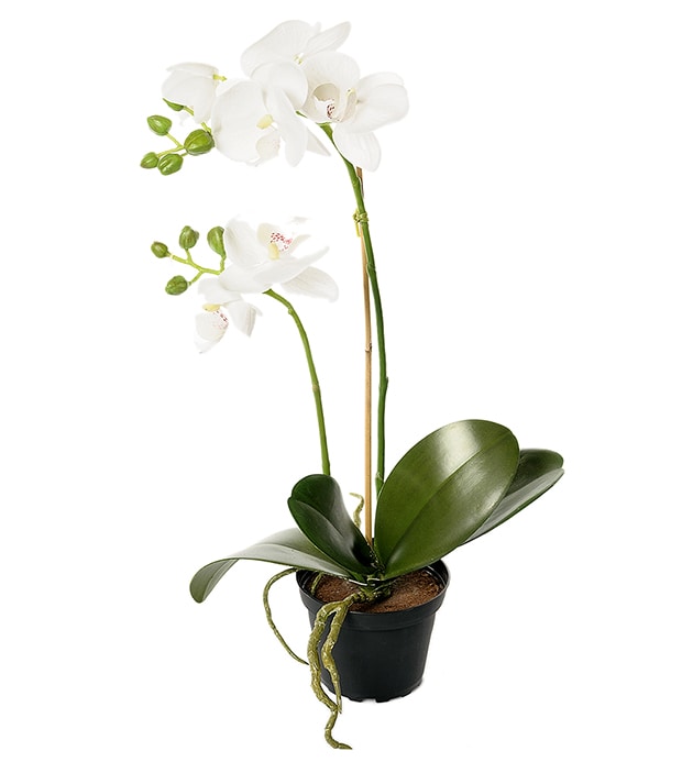 Kunstig hvit Phalaenopsis 45 cm